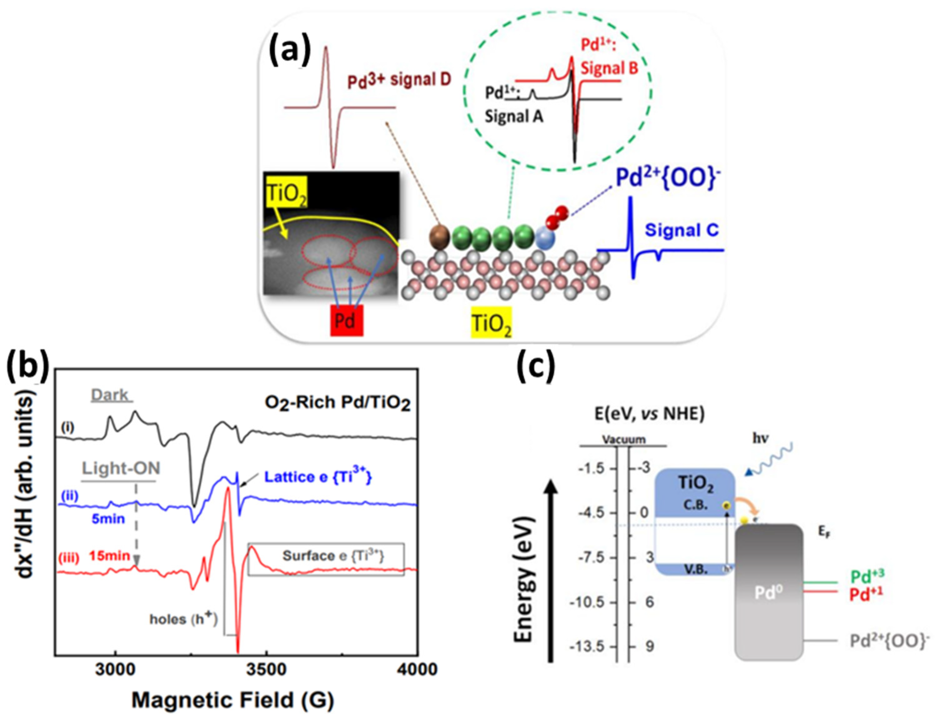 Nanomaterials 15 00226 g012