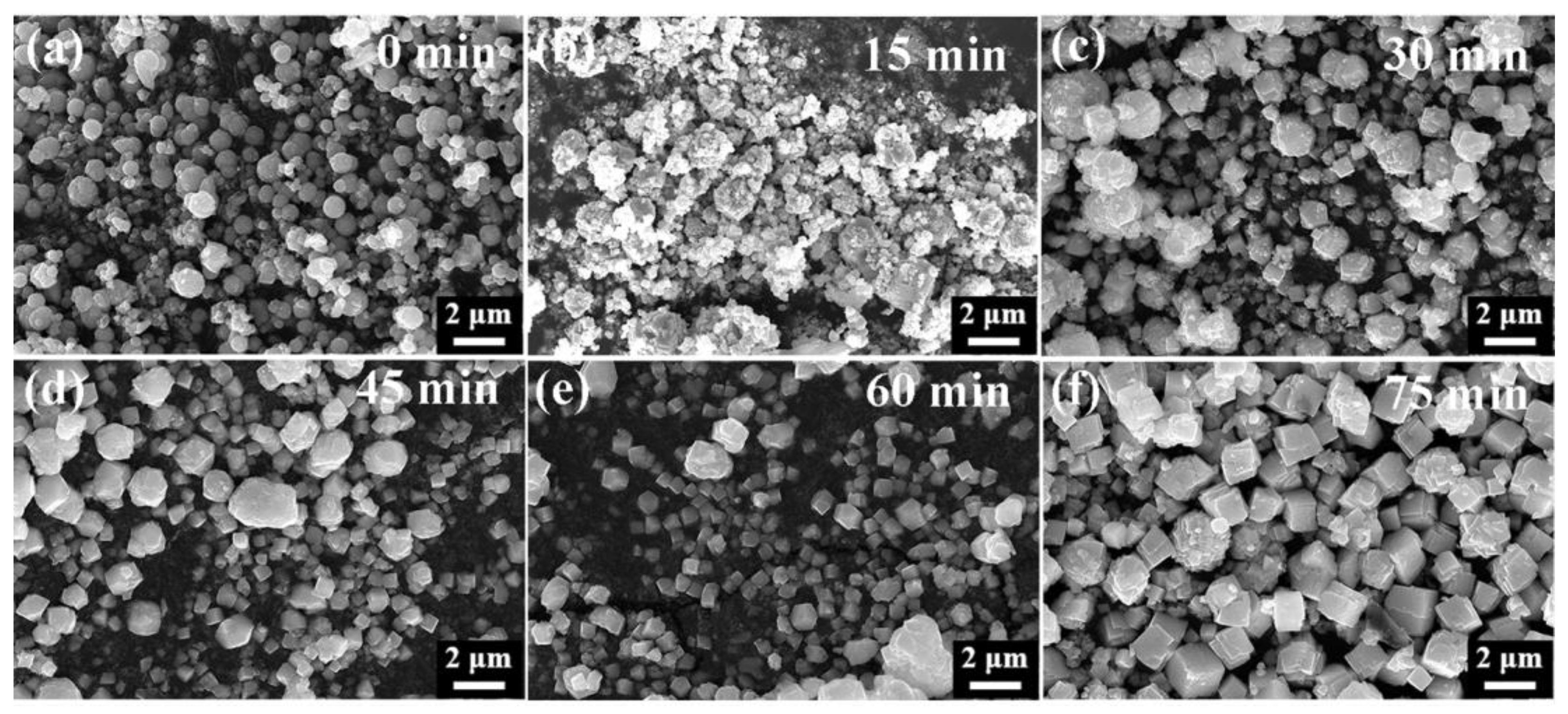 Nanomaterials 15 00234 g010