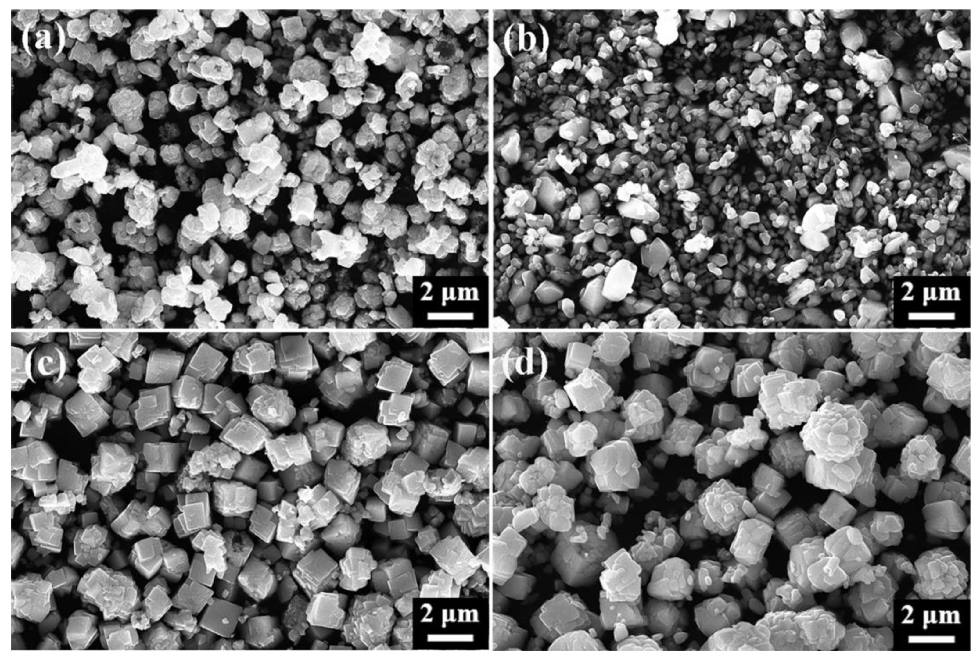 Nanomaterials 15 00234 g013