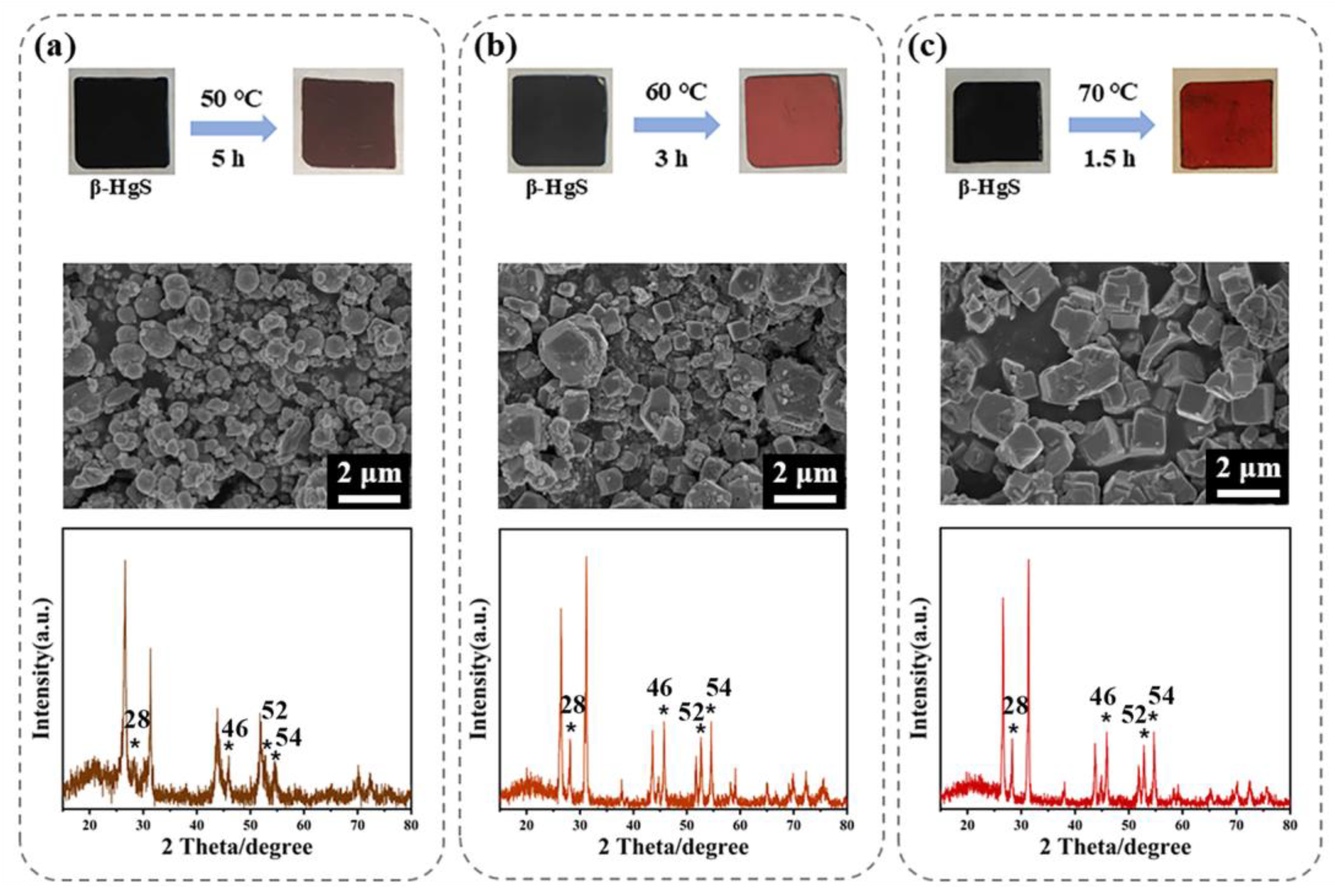 Nanomaterials 15 00234 g014