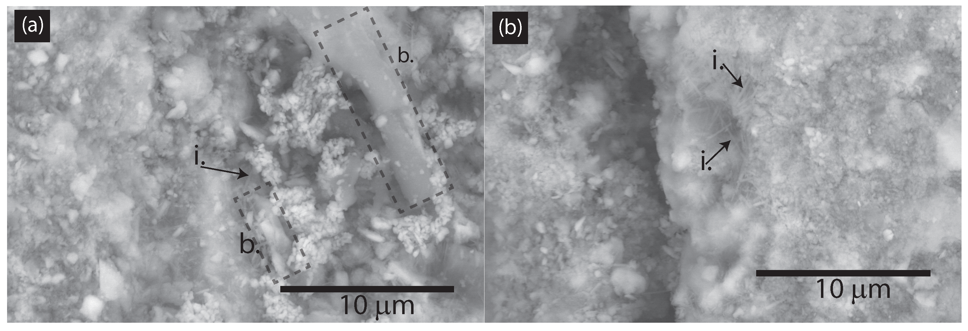 Nanomaterials 15 00253 g005 Nanomaterials 15 00253 g005