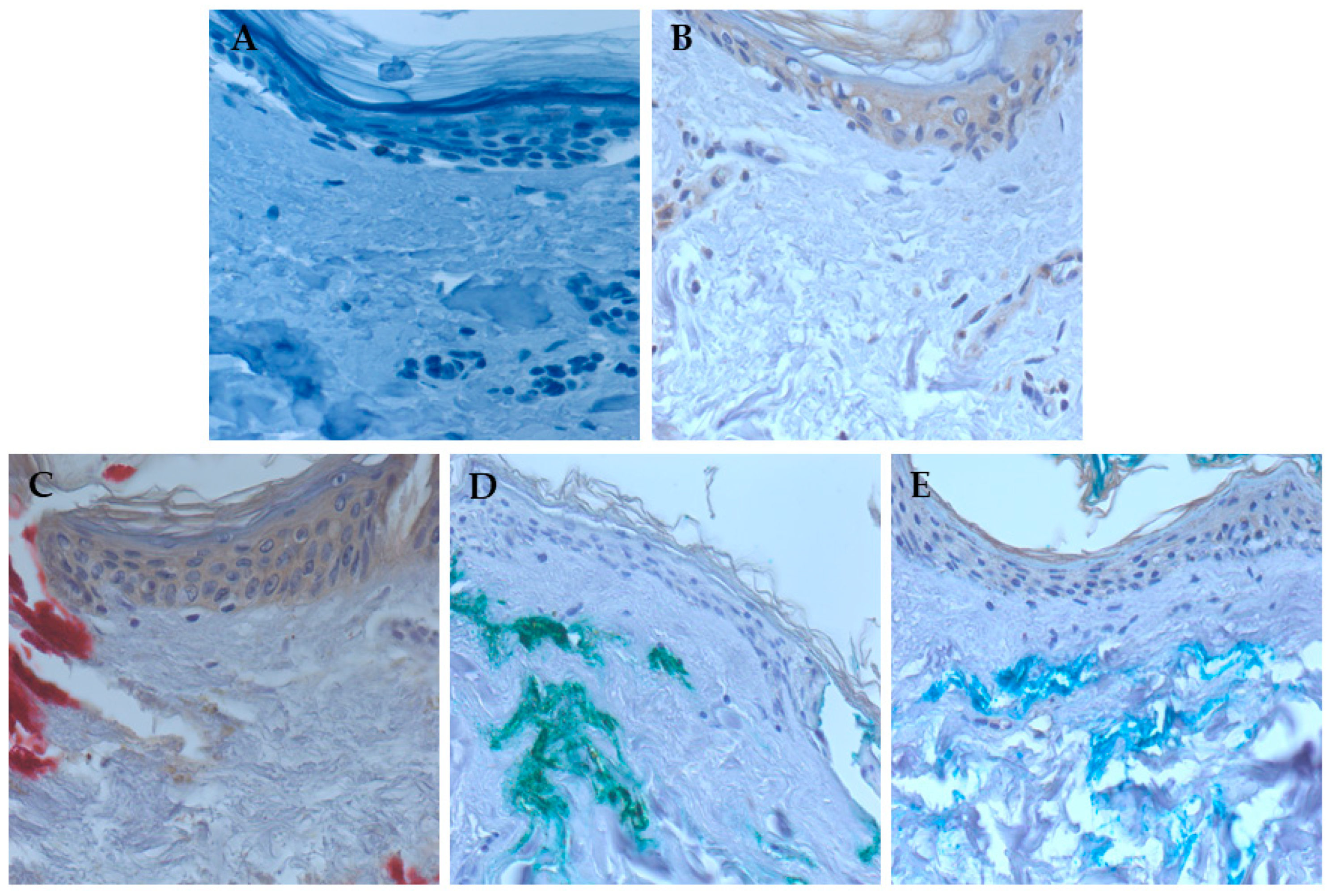 Nanomaterials 15 00270 g006