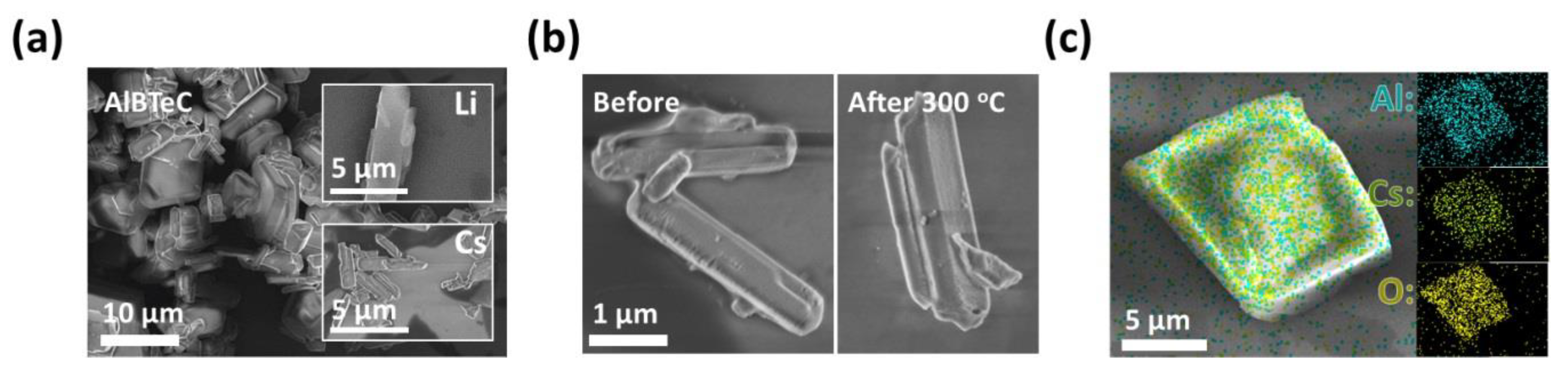 Nanomaterials 15 00274 g002 Nanomaterials 15 00274 g002