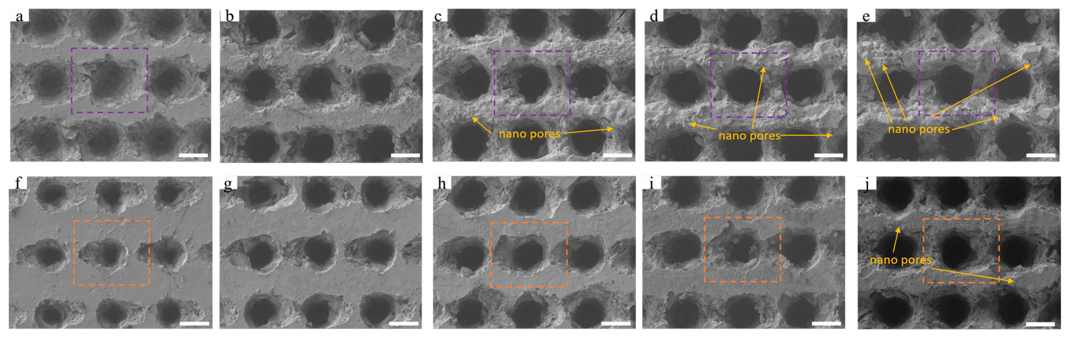 Nanomaterials 15 00287 g002