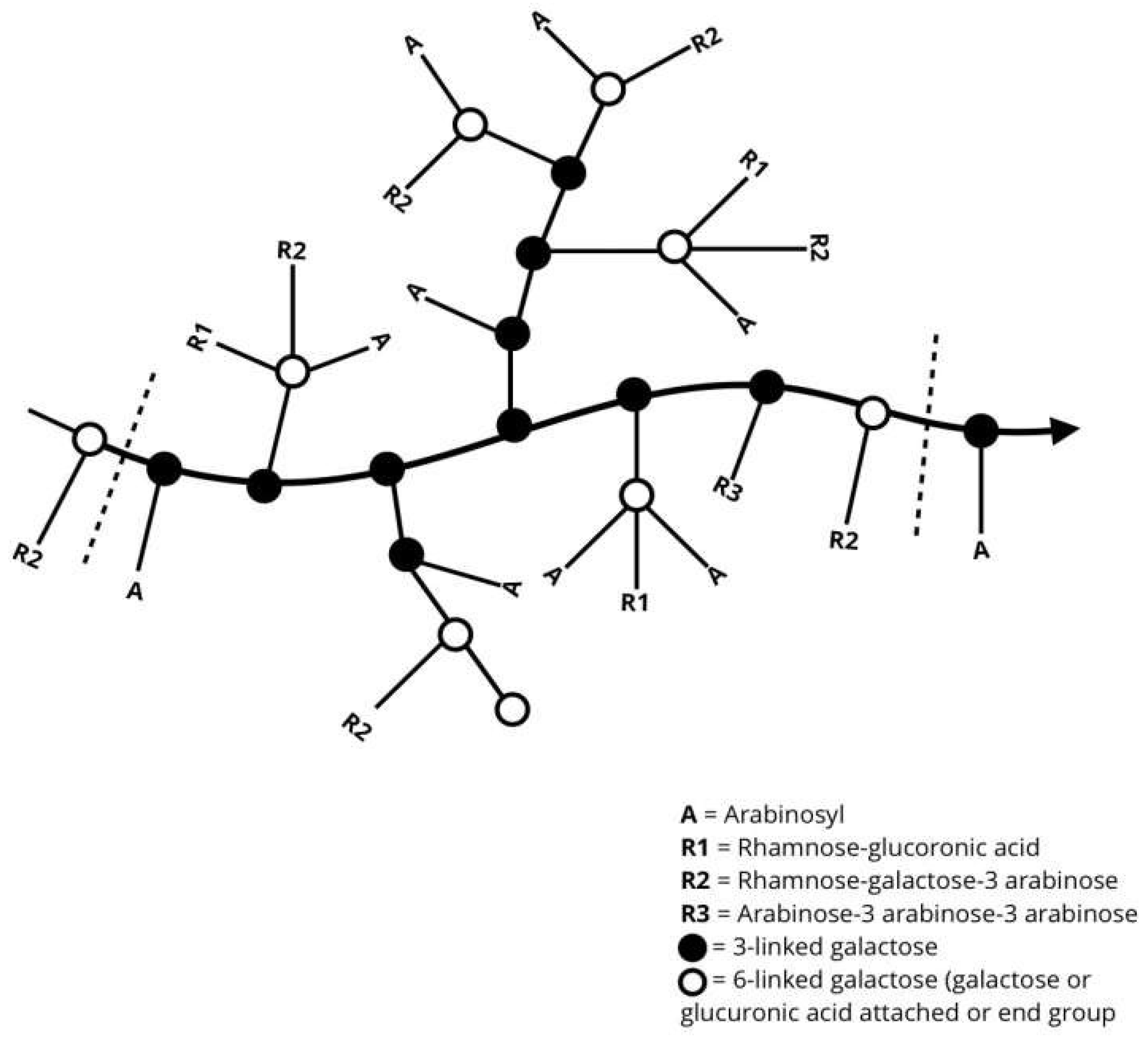Nanomaterials 15 00290 g002