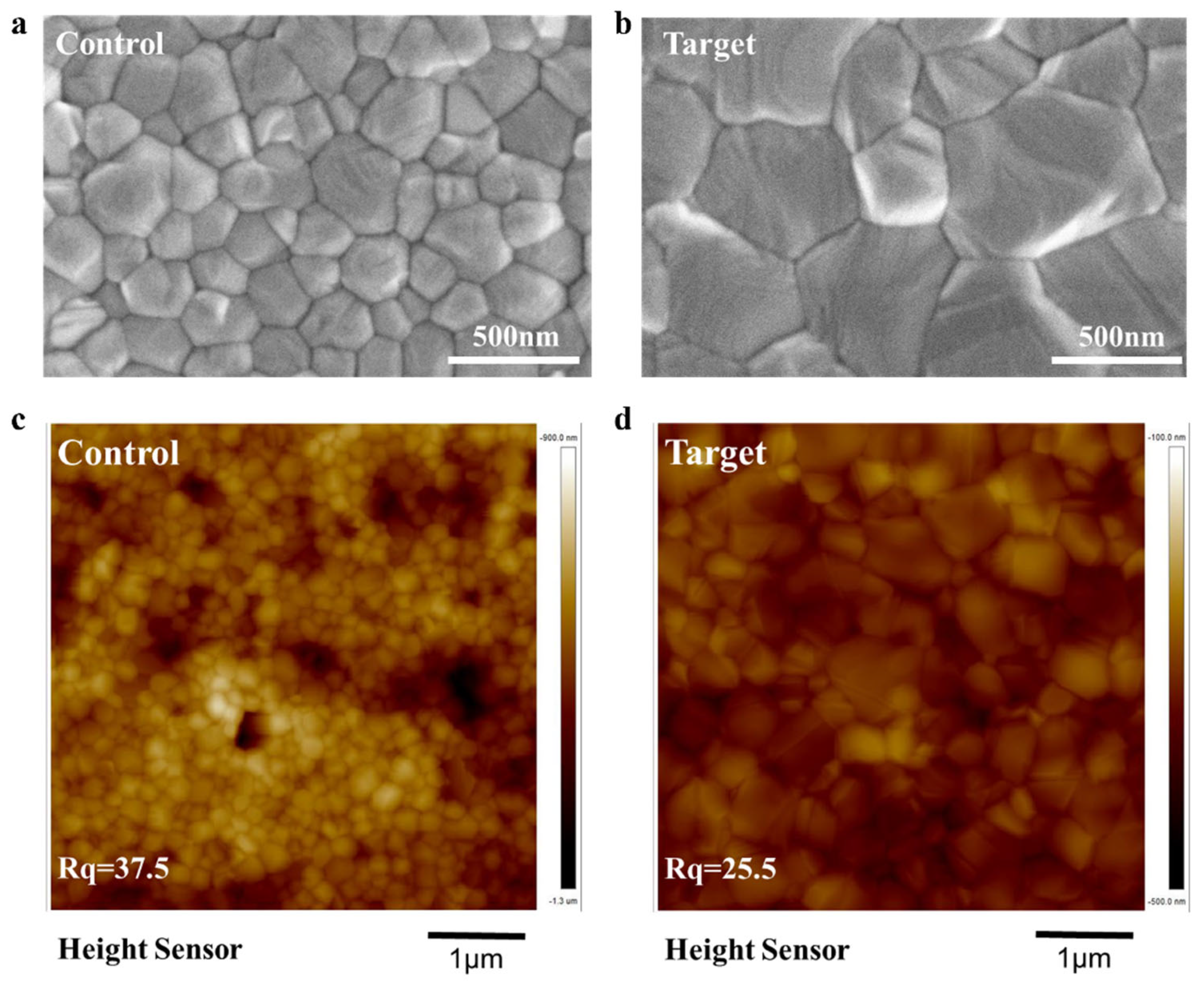 Nanomaterials 15 00292 g002
