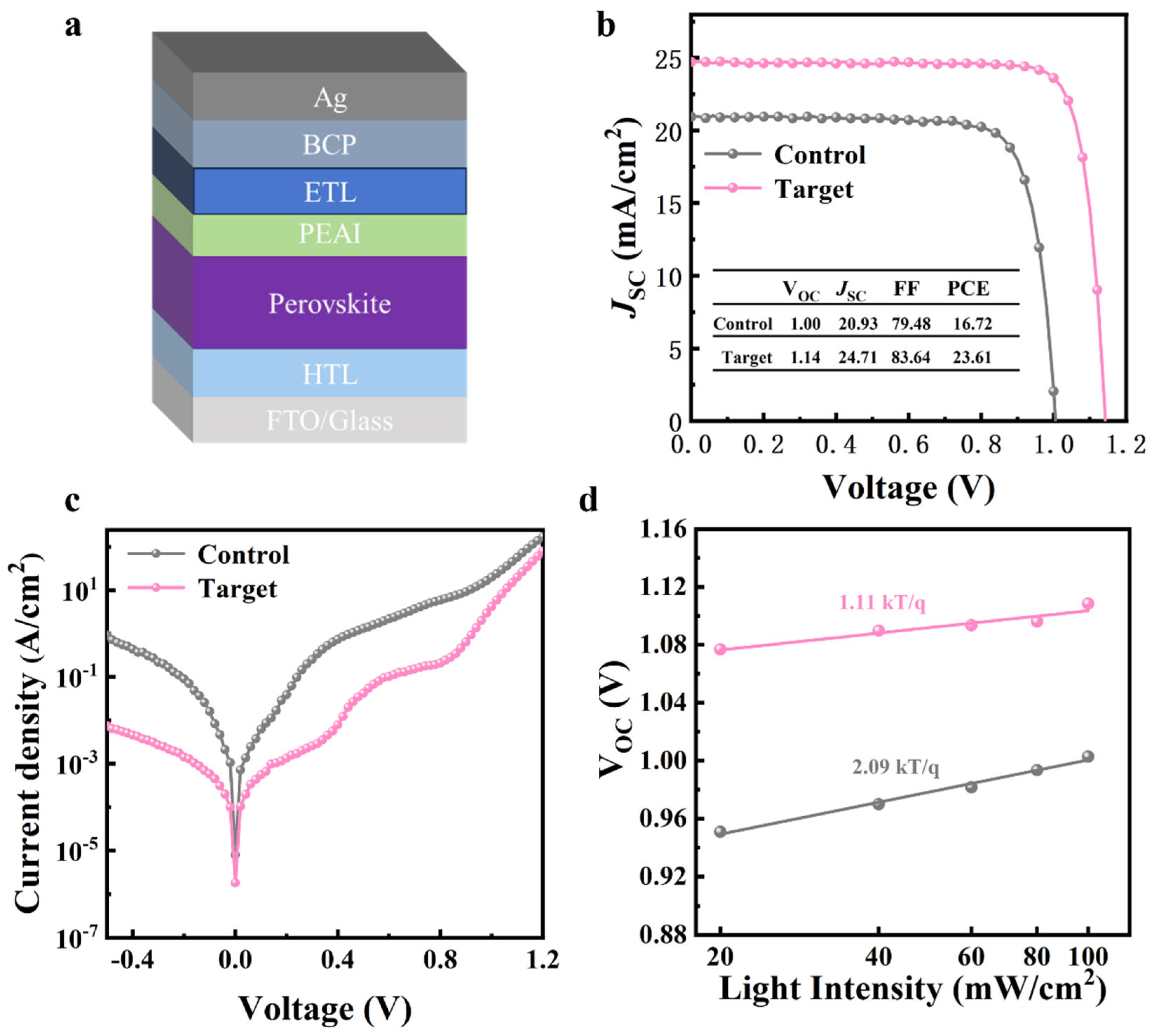 Nanomaterials 15 00292 g004
