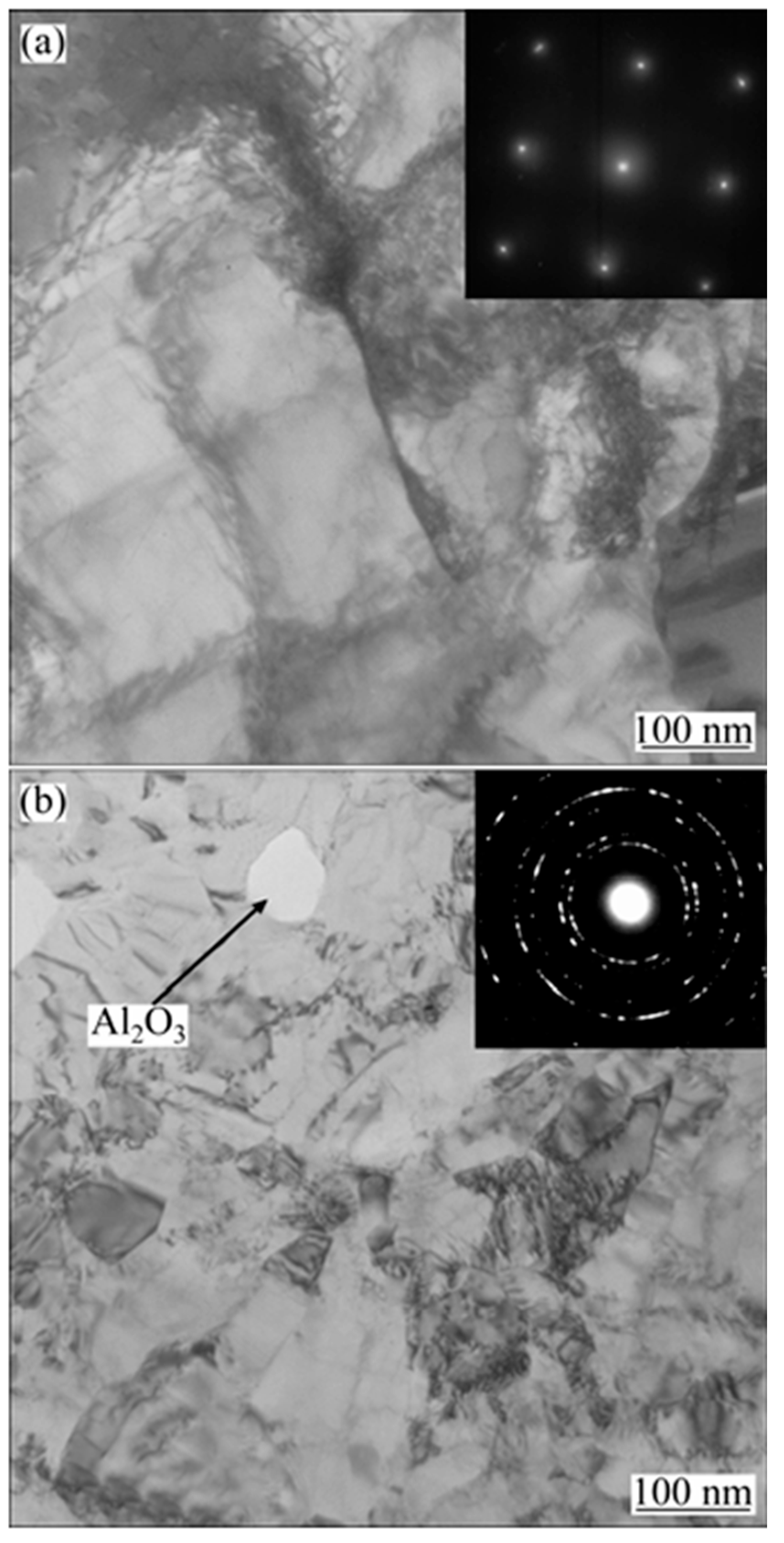Nanomaterials 15 00312 g010