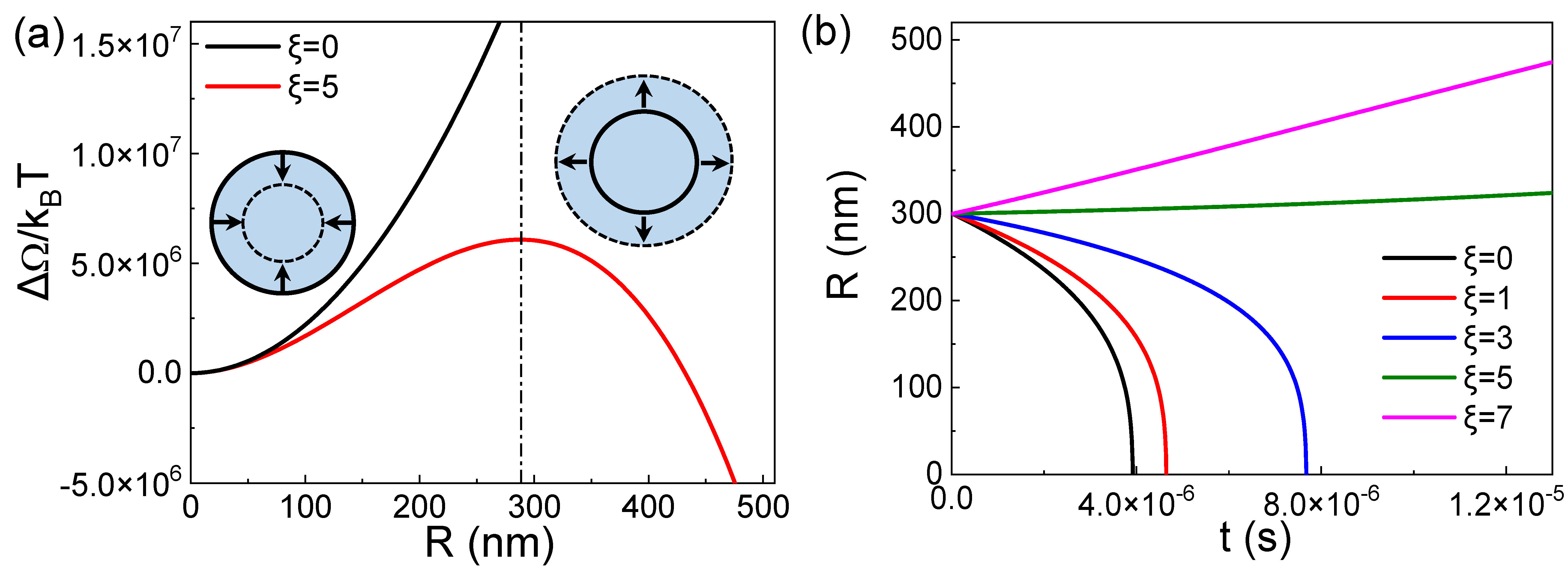 Nanomaterials 15 00314 g001