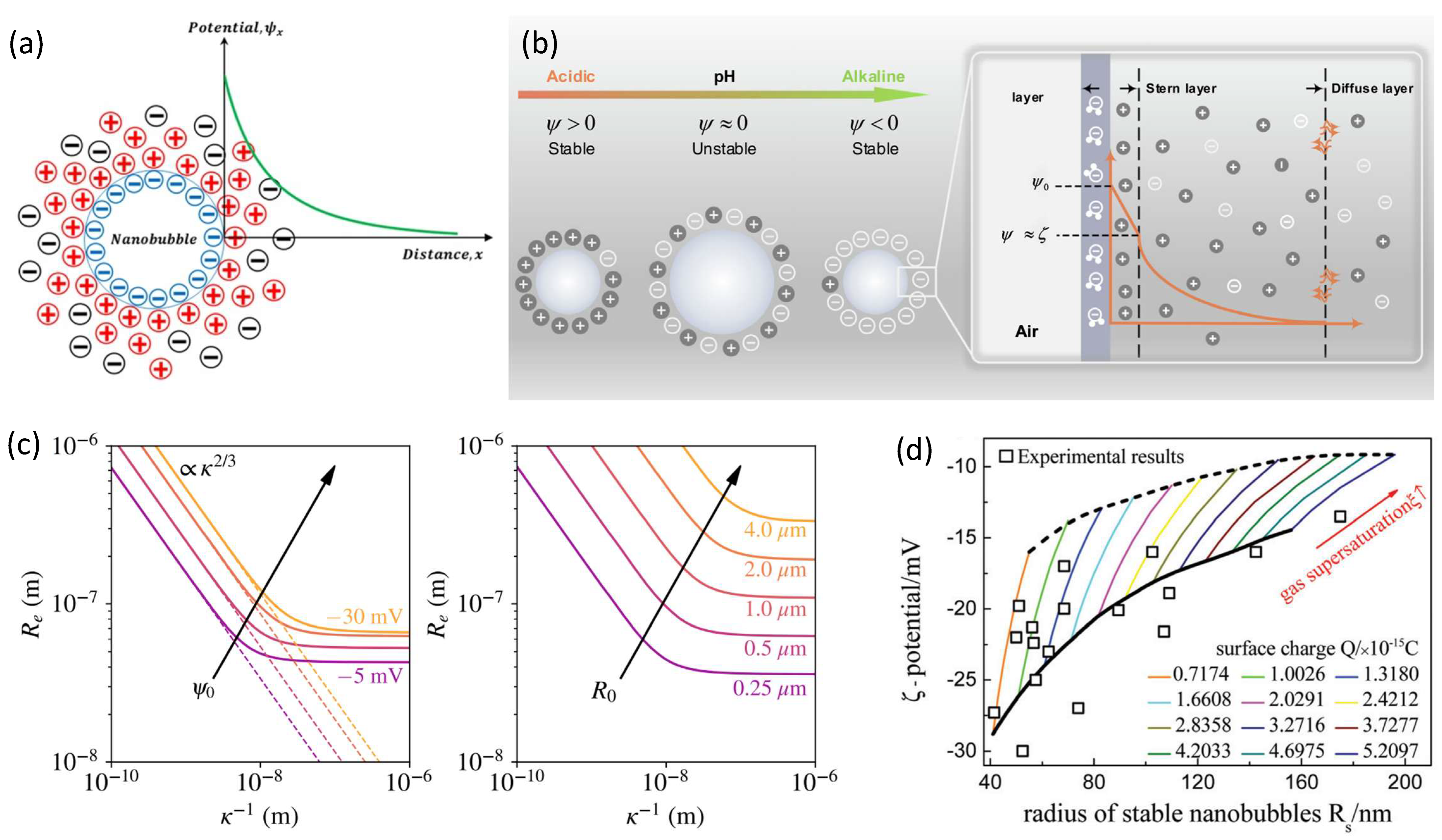 Nanomaterials 15 00314 g002