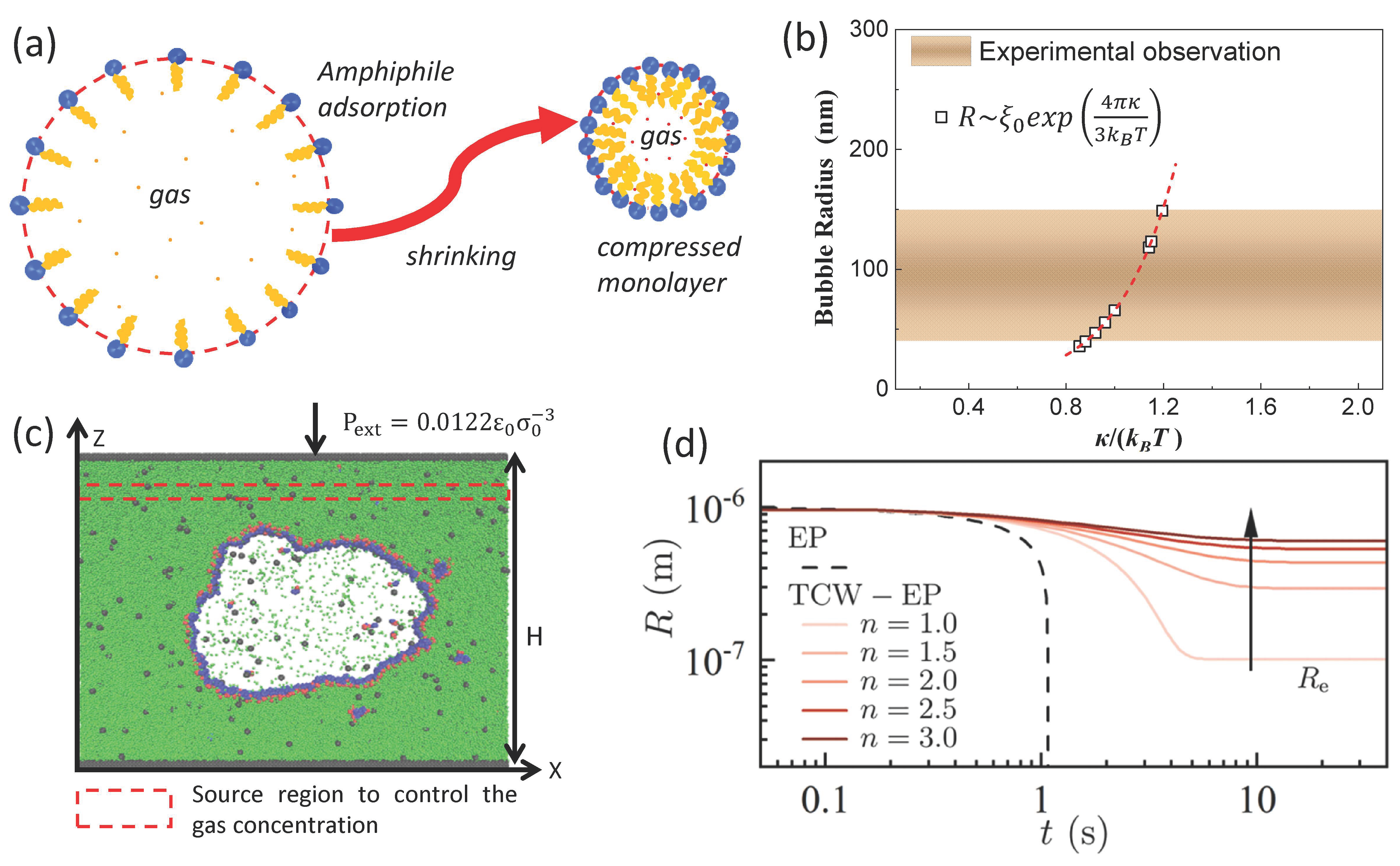 Nanomaterials 15 00314 g003