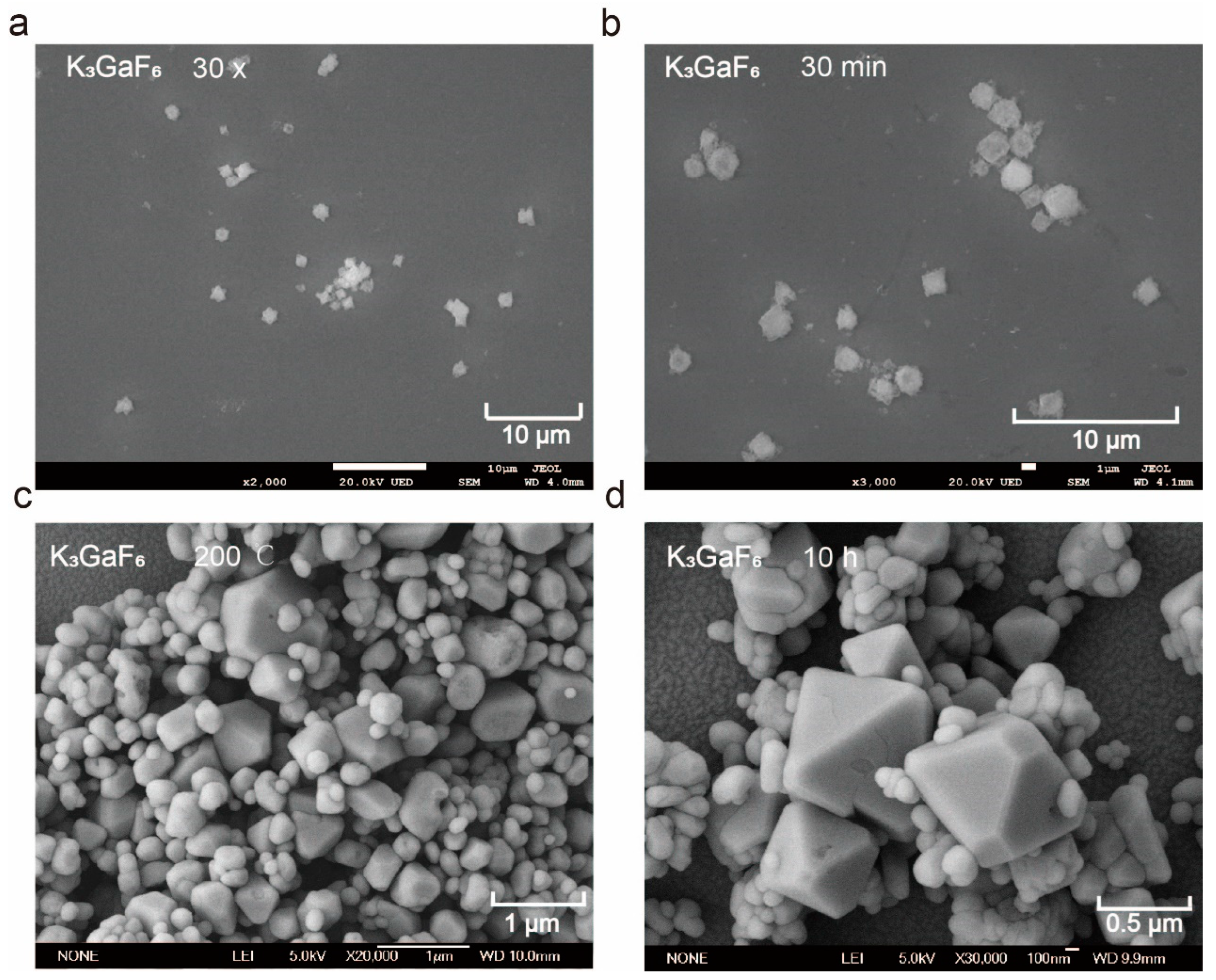 Nanomaterials 15 00318 g003