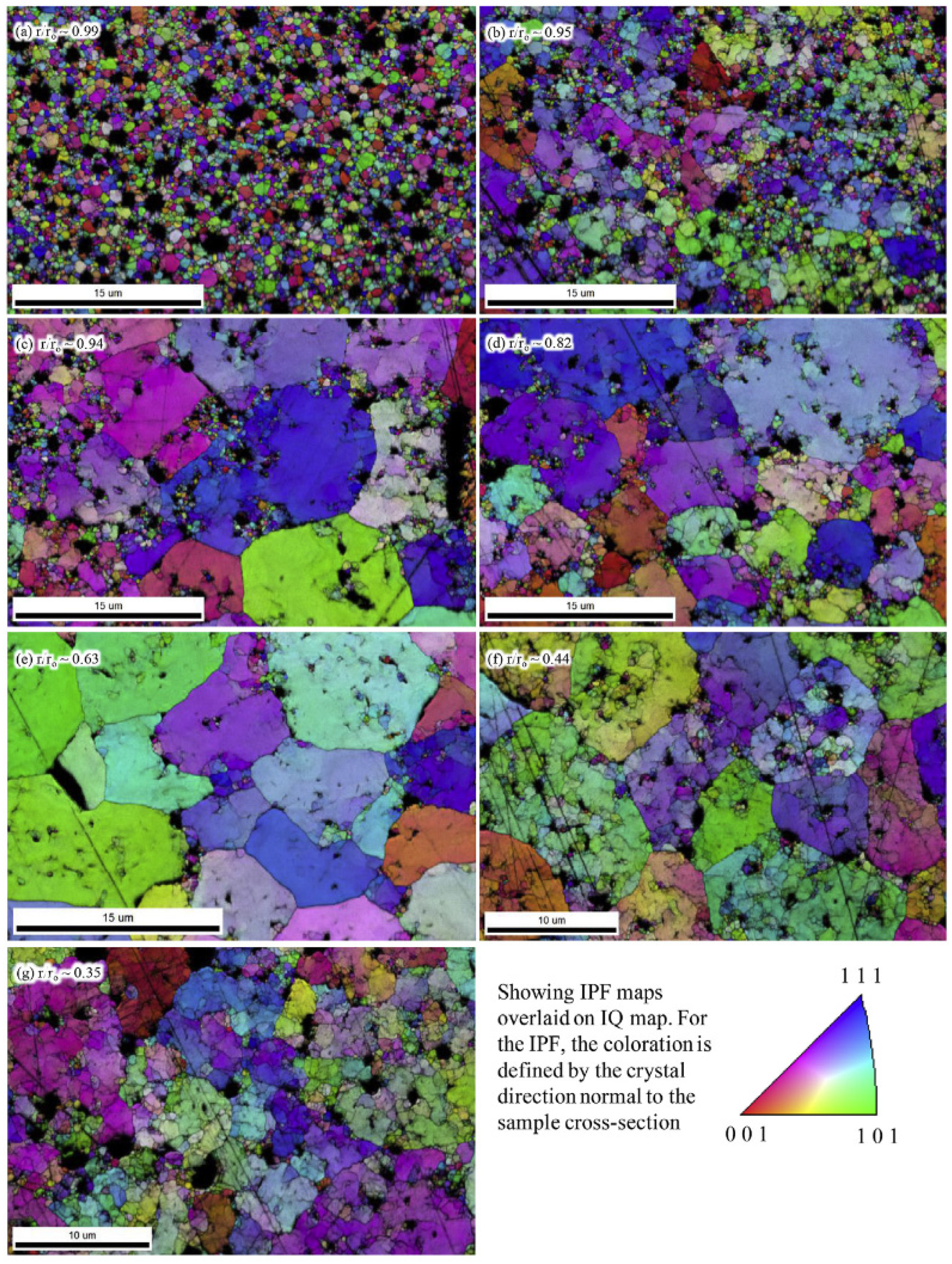 Nanomaterials 15 00325 g003