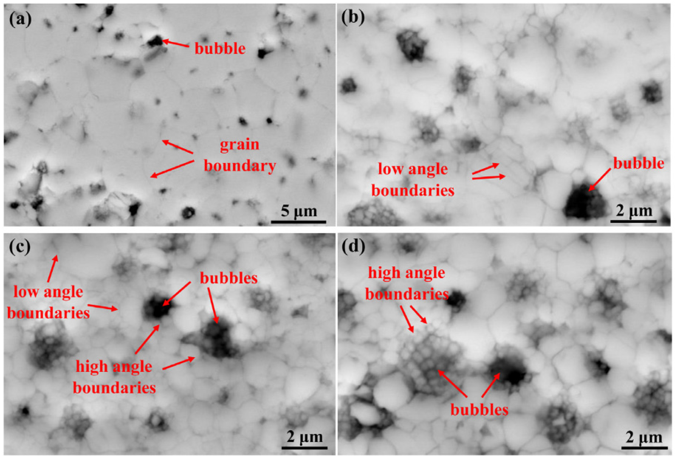 Nanomaterials 15 00325 g004