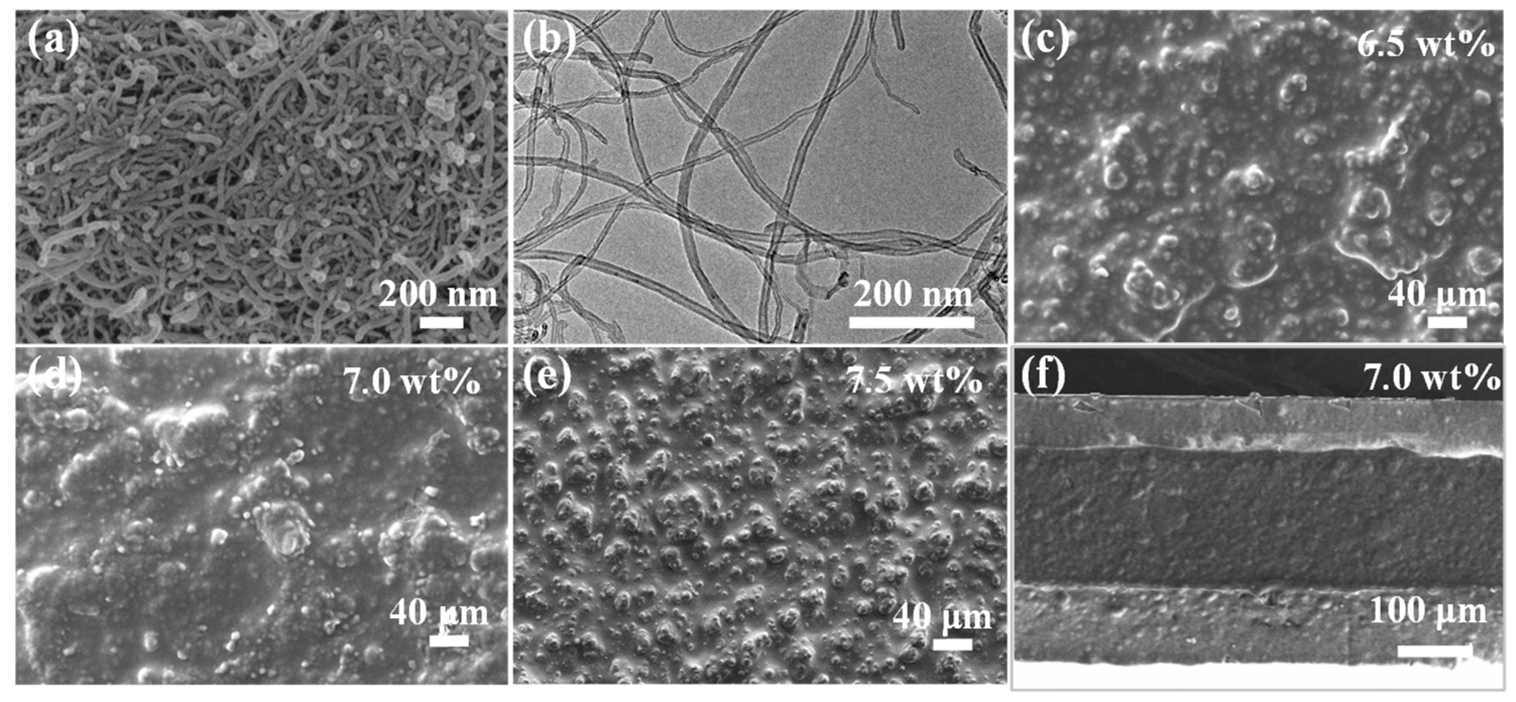 Nanomaterials 15 00332 g002