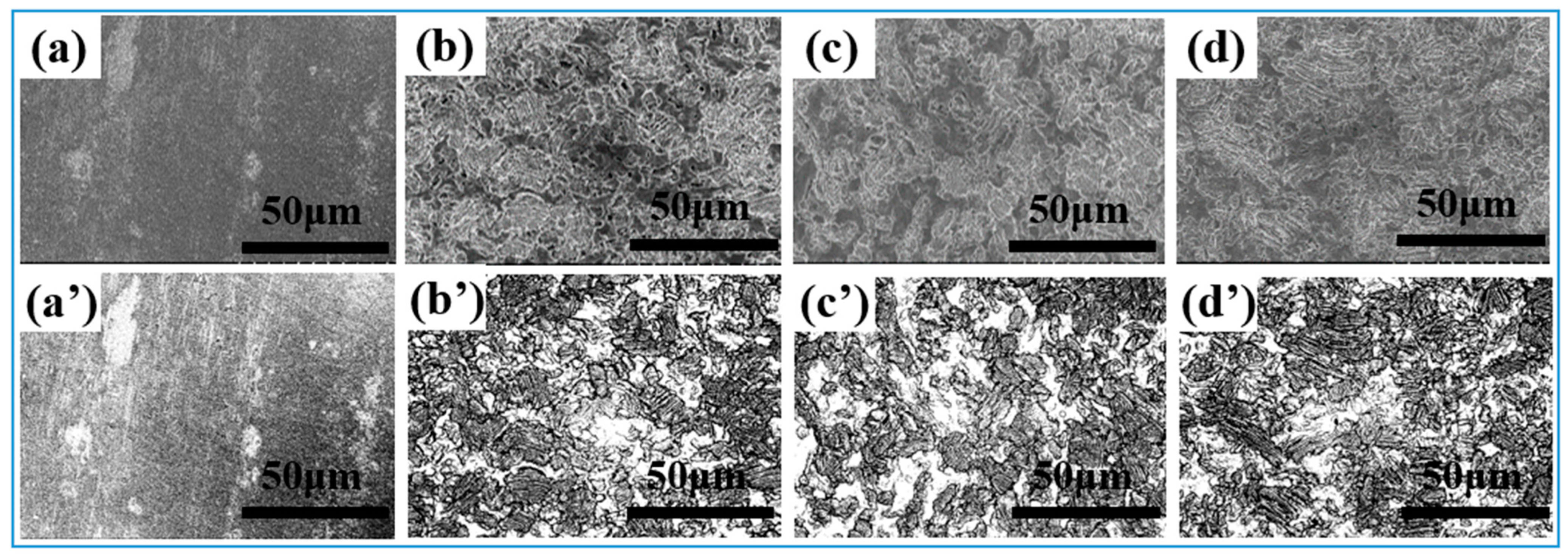 Nanomaterials 15 00340 g004 Nanomaterials 15 00340 g004