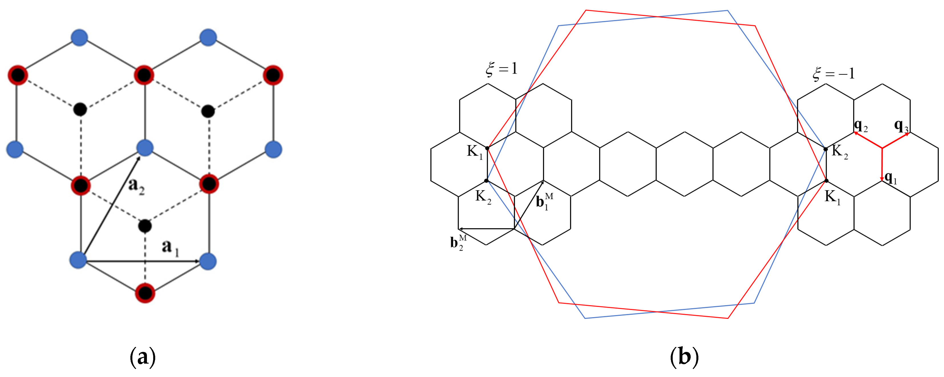 Nanomaterials 15 00345 g001
