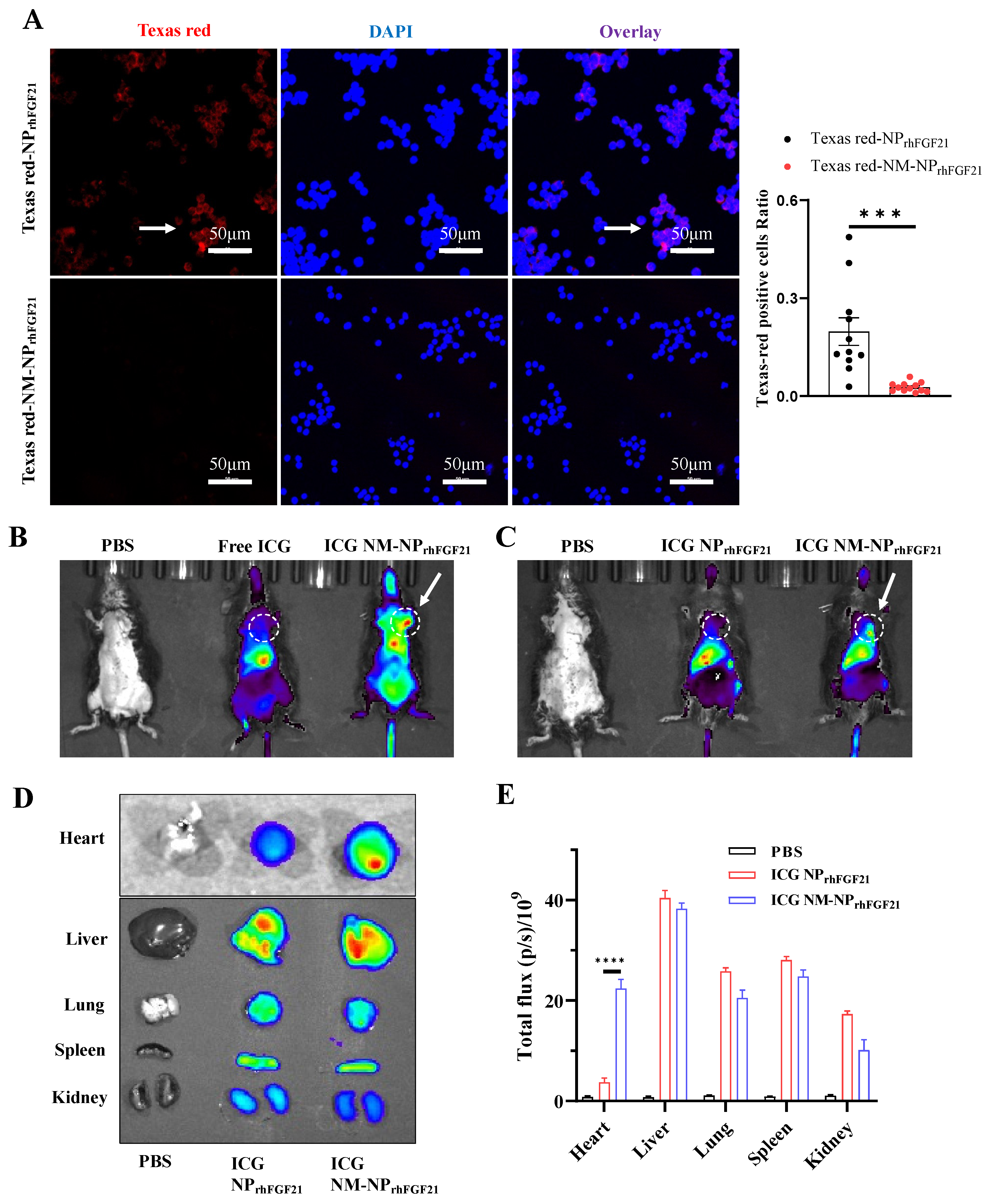 Nanomaterials 15 00346 g002