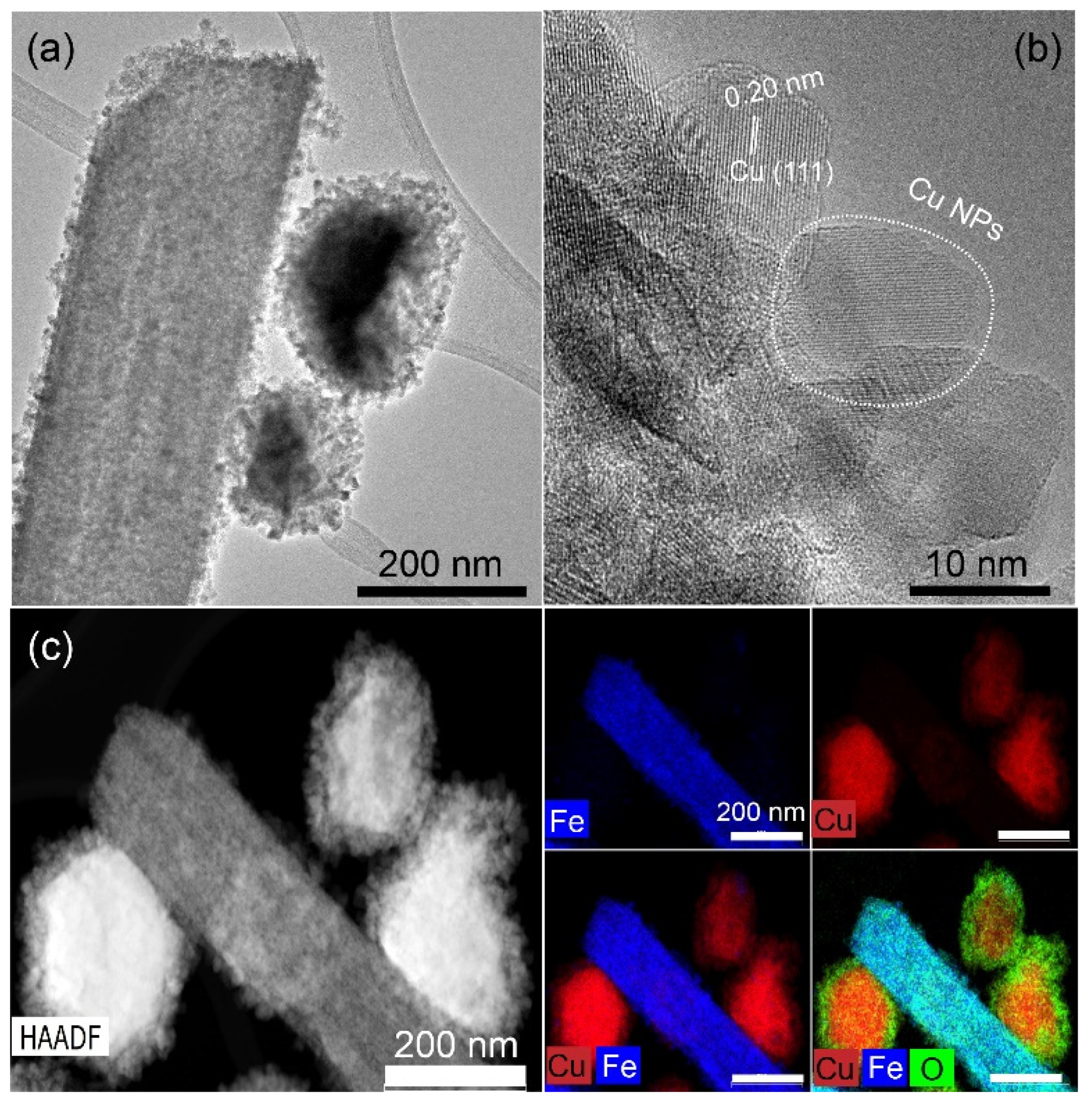 Nanomaterials 15 00353 g001