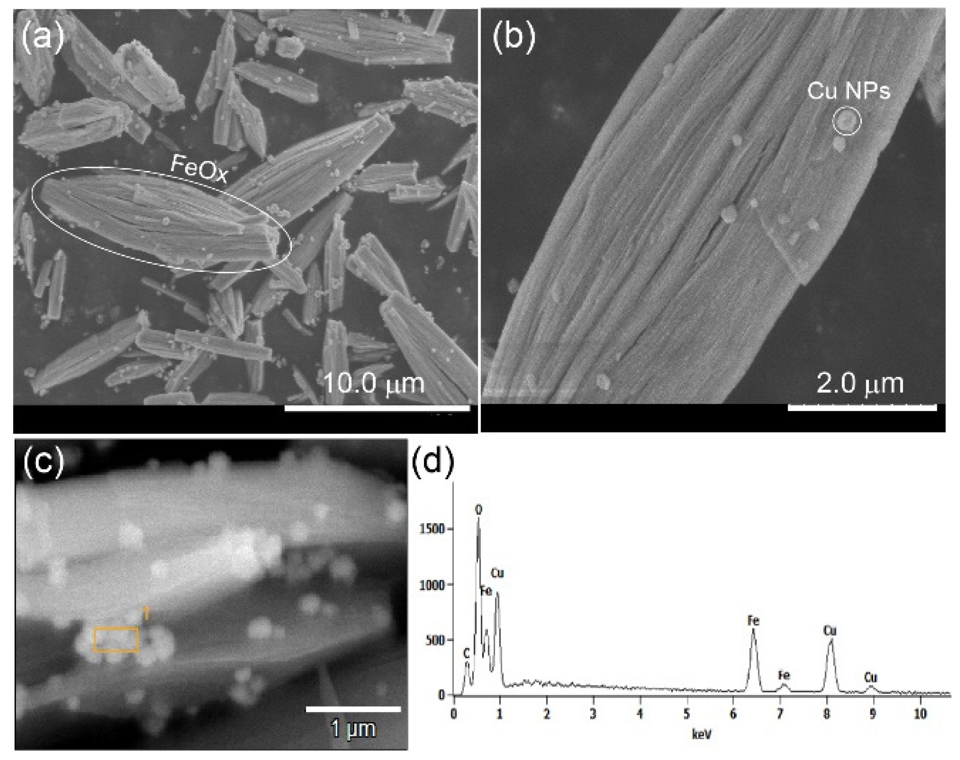 Nanomaterials 15 00353 g002