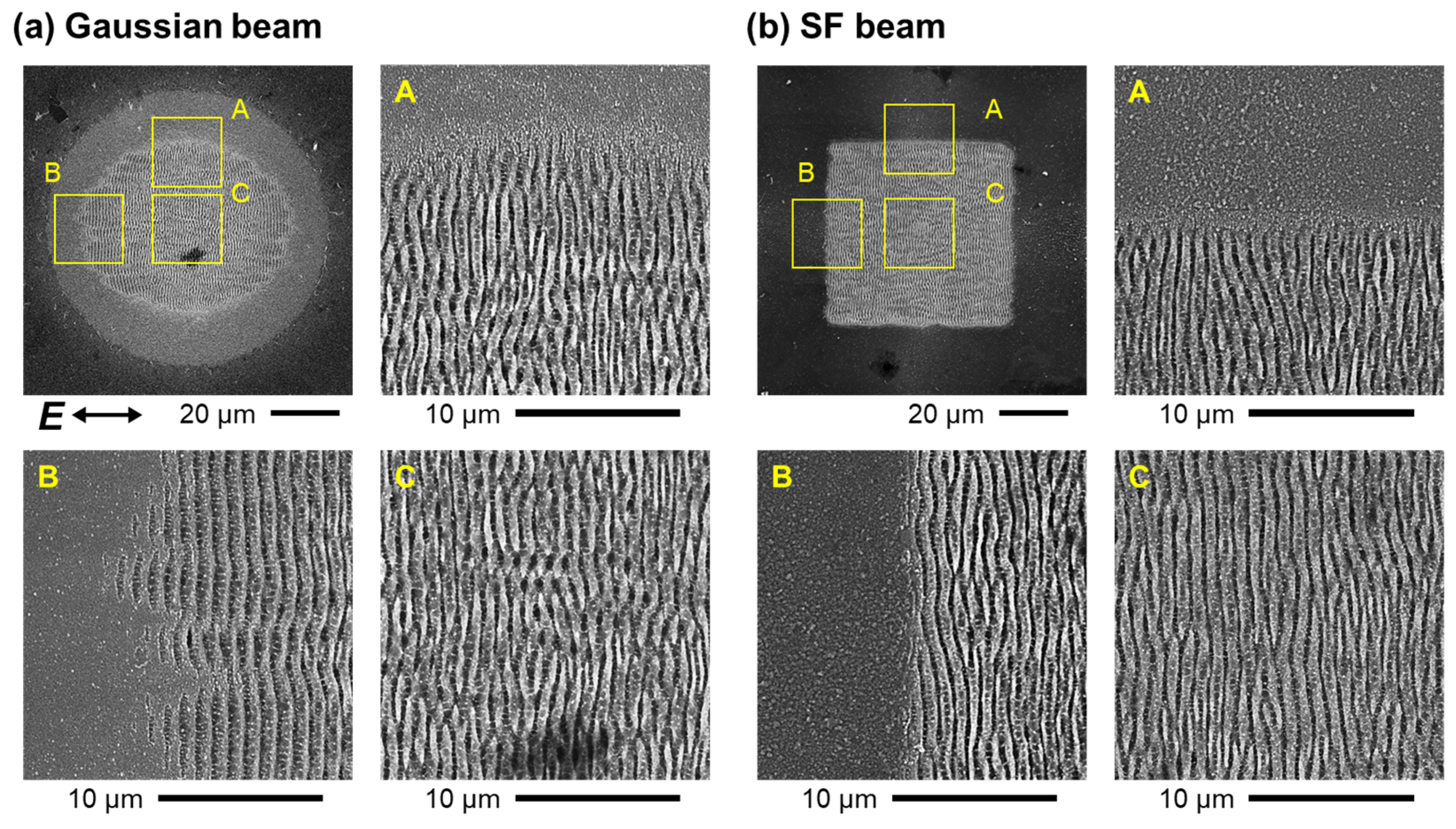 Nanomaterials 15 00355 g004 Nanomaterials 15 00355 g004