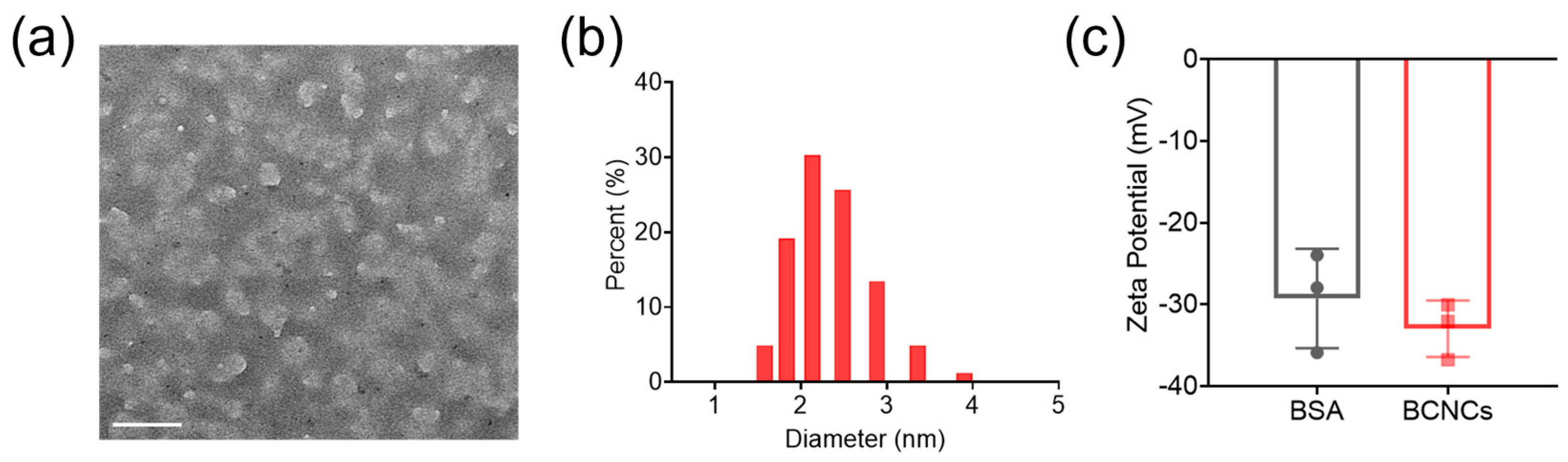 Nanomaterials 15 00360 g001