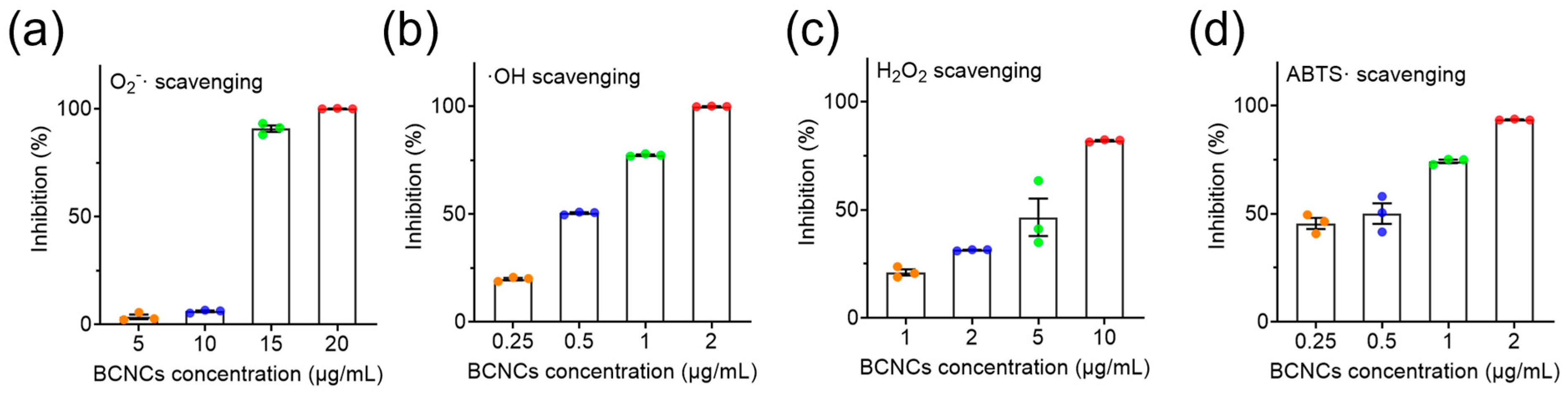 Nanomaterials 15 00360 g004