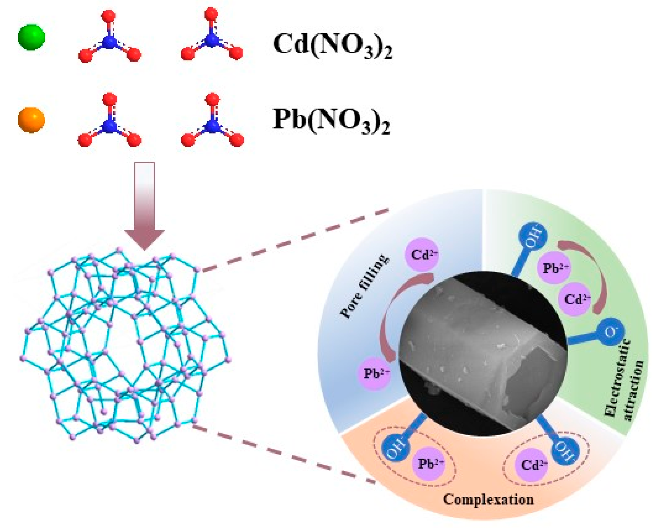 Nanomaterials 15 00366 g006