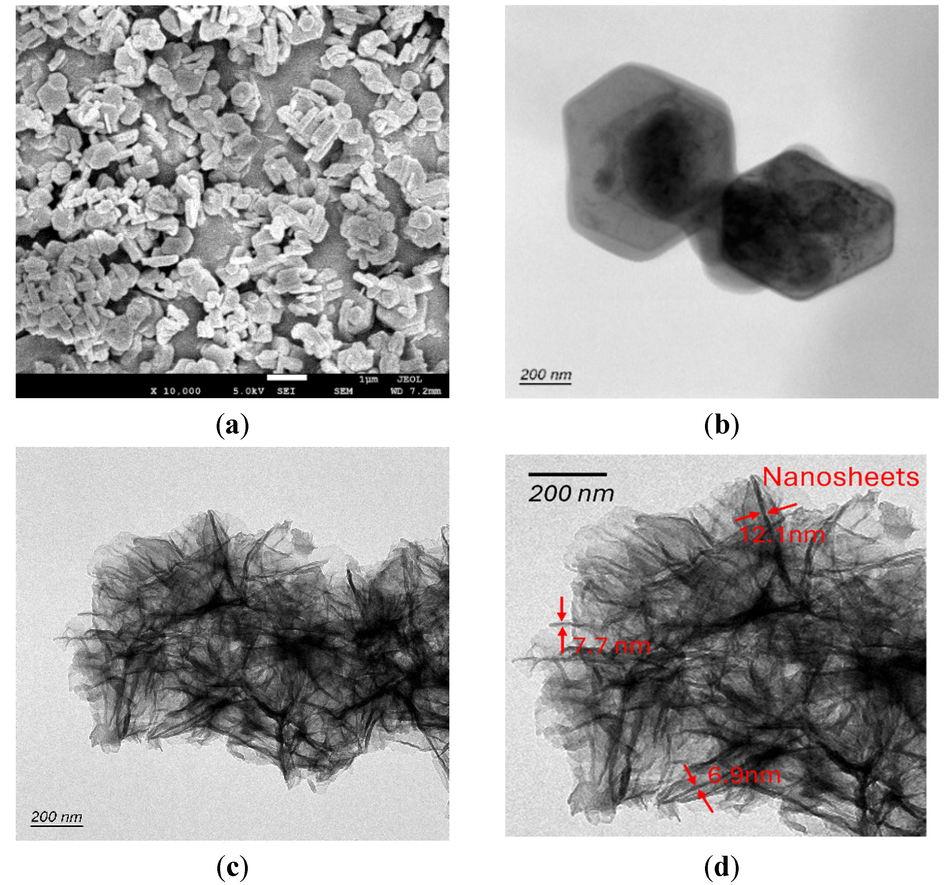 Nanomaterials 15 00370 g006