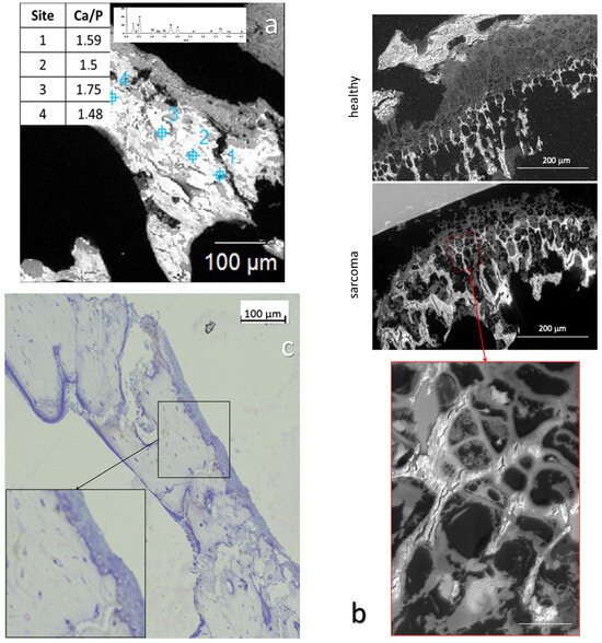 Nanomaterials 15 00374 g002
