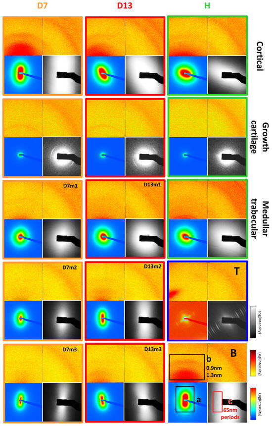Nanomaterials 15 00374 g005