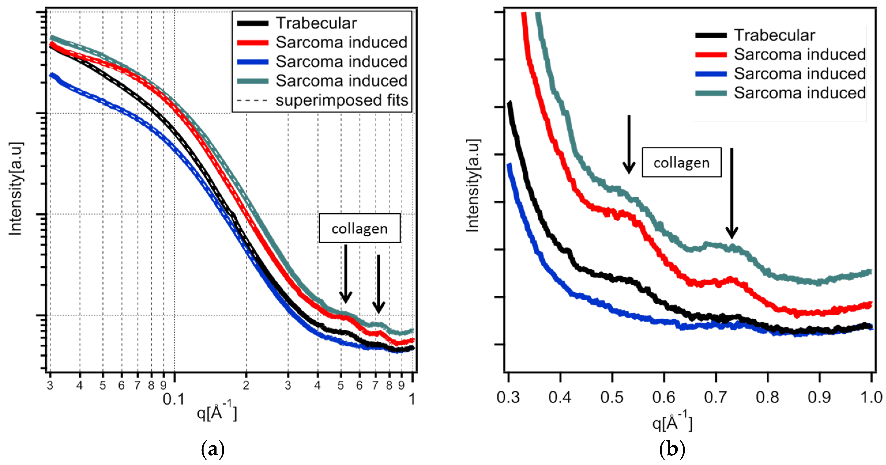 Nanomaterials 15 00374 g006
