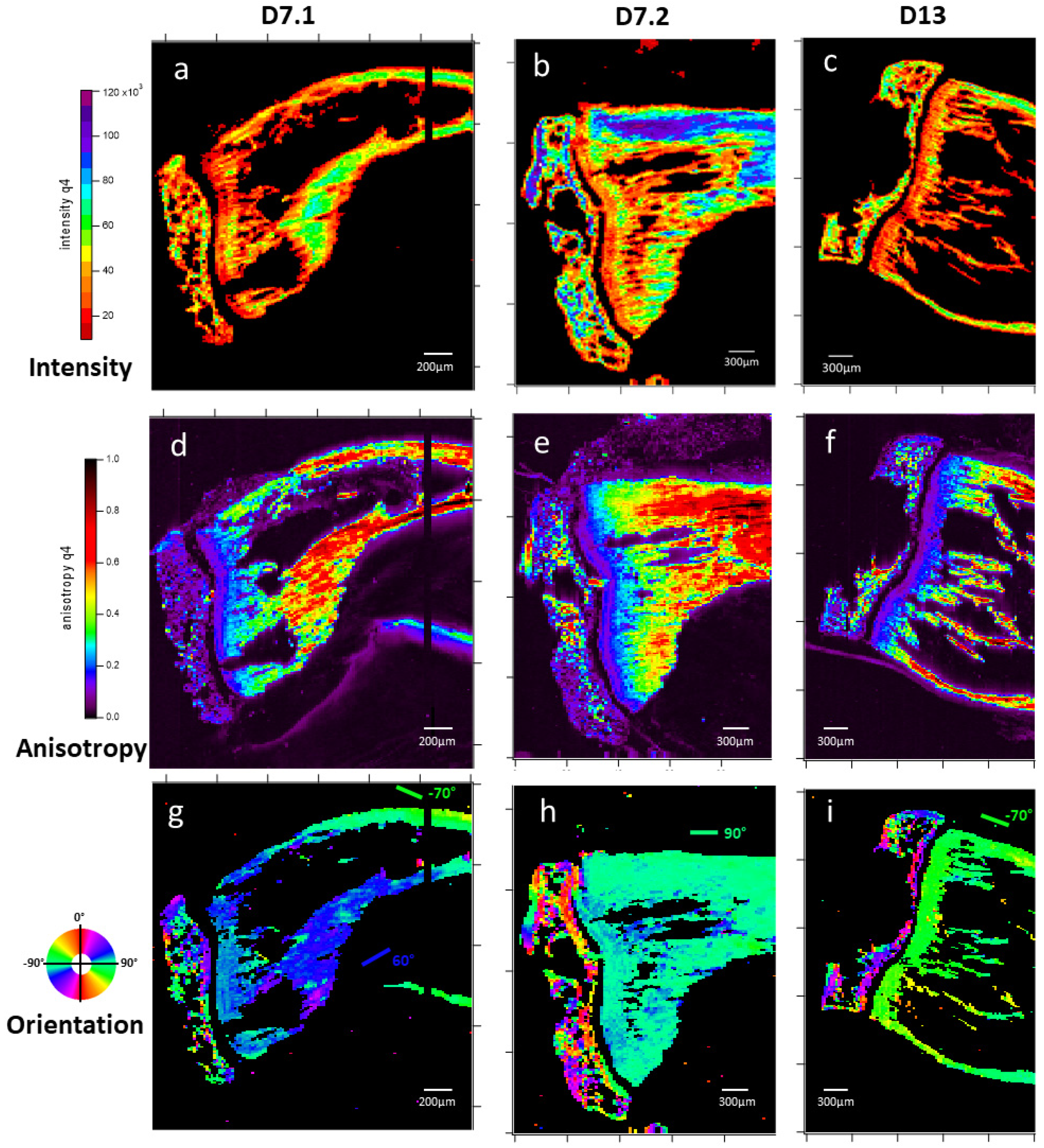 Nanomaterials 15 00374 g007