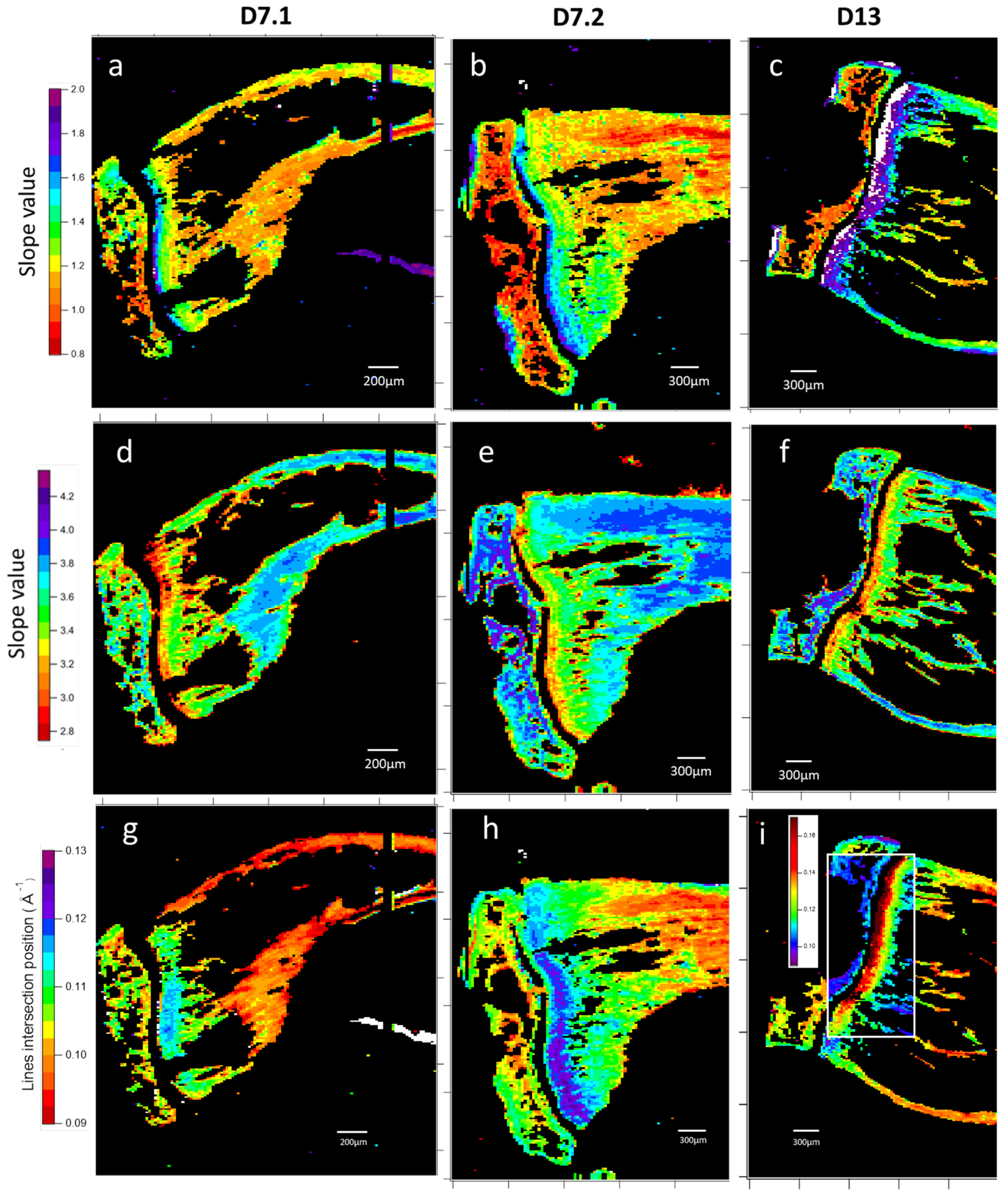 Nanomaterials 15 00374 g008