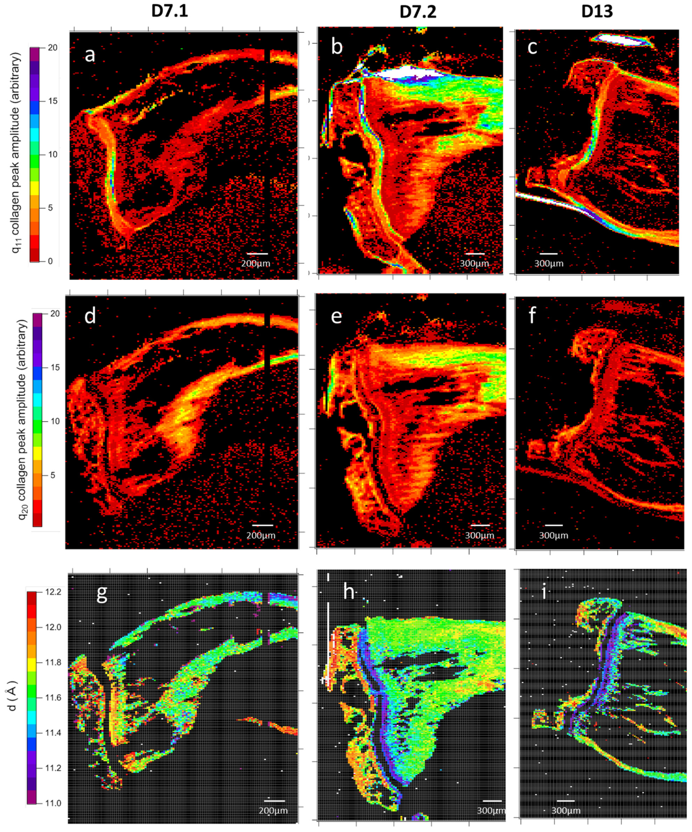 Nanomaterials 15 00374 g009