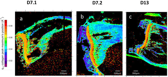 Nanomaterials 15 00374 g011a Nanomaterials 15 00374 g011a