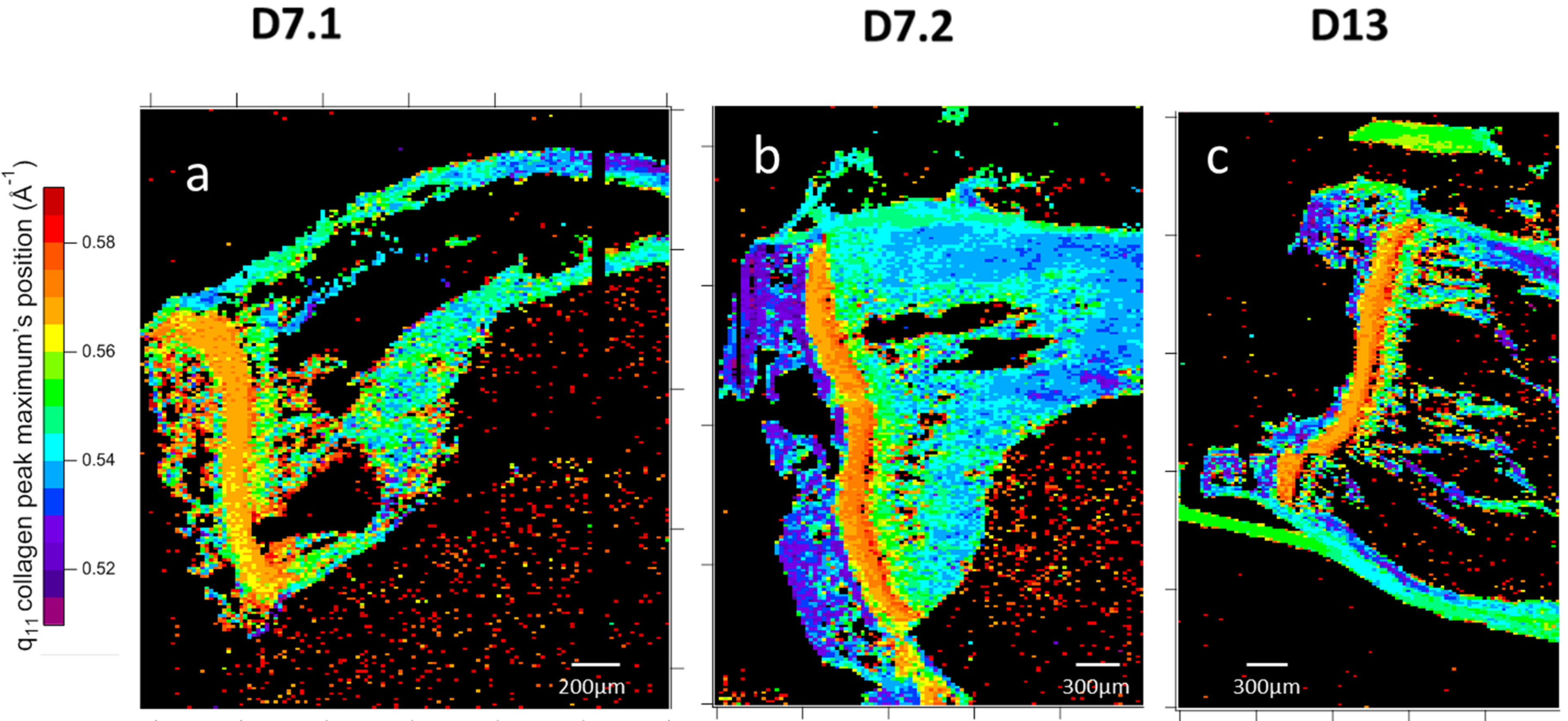 Nanomaterials 15 00374 g011a