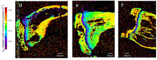Nanomaterials 15 00374 g011b