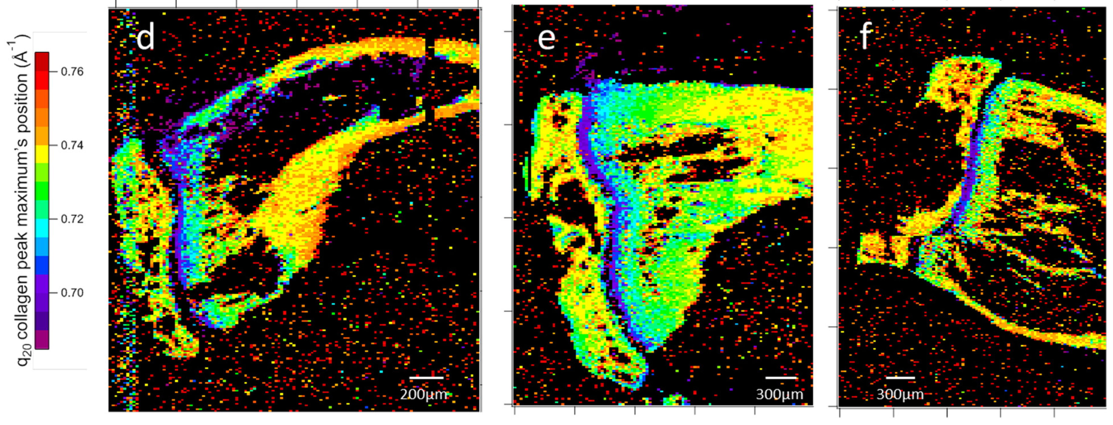 Nanomaterials 15 00374 g011b