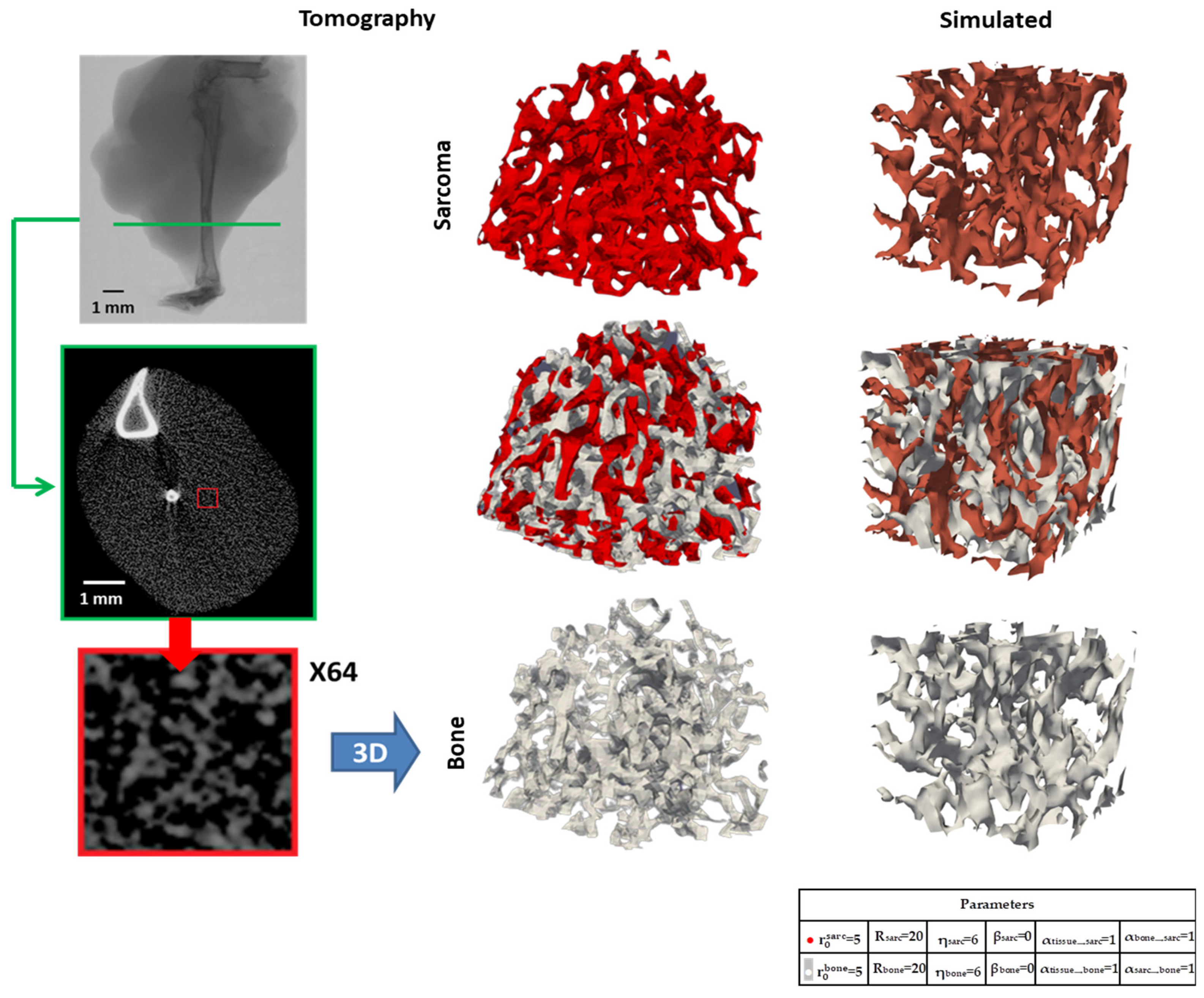Nanomaterials 15 00374 g014