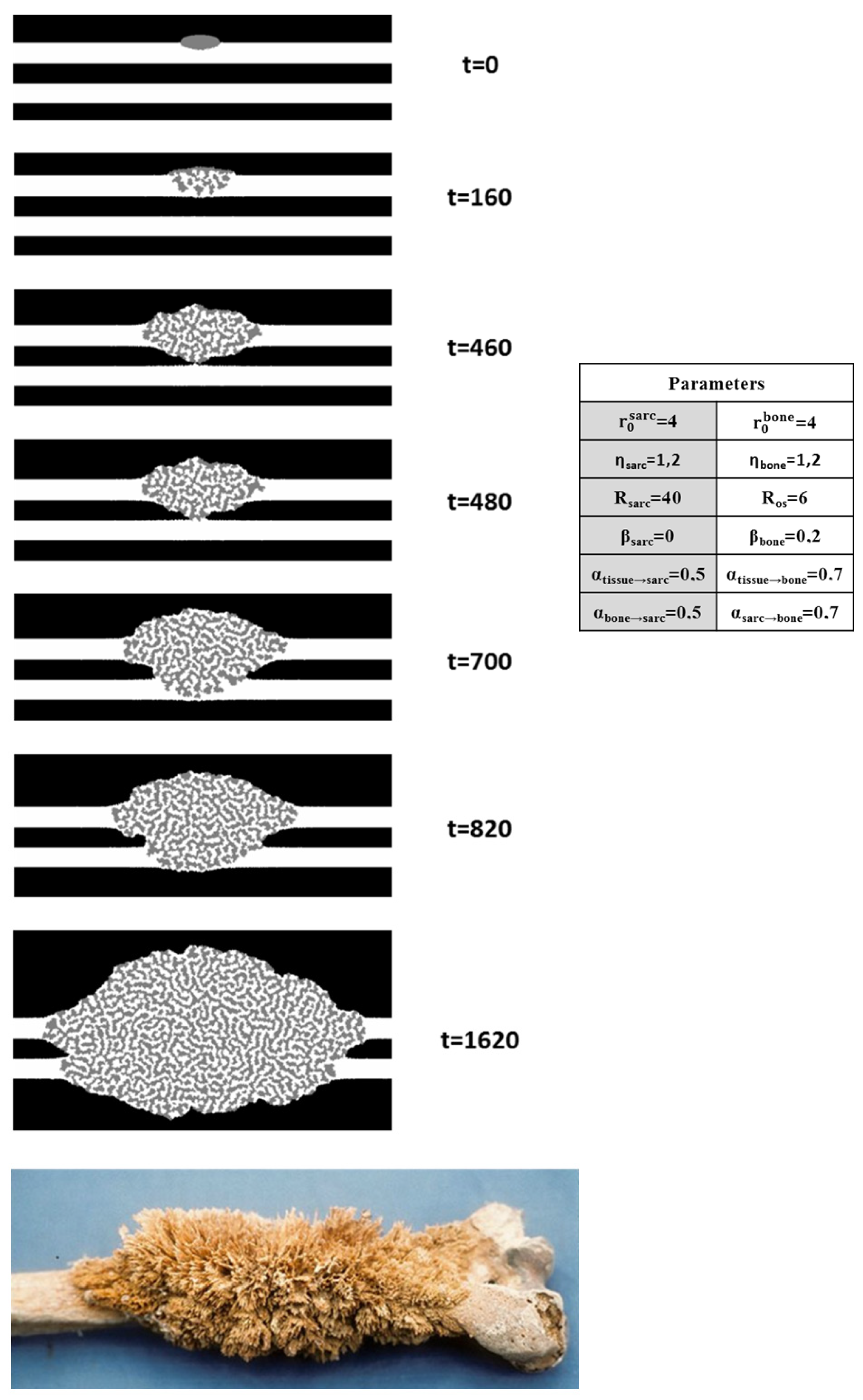 Nanomaterials 15 00374 g016