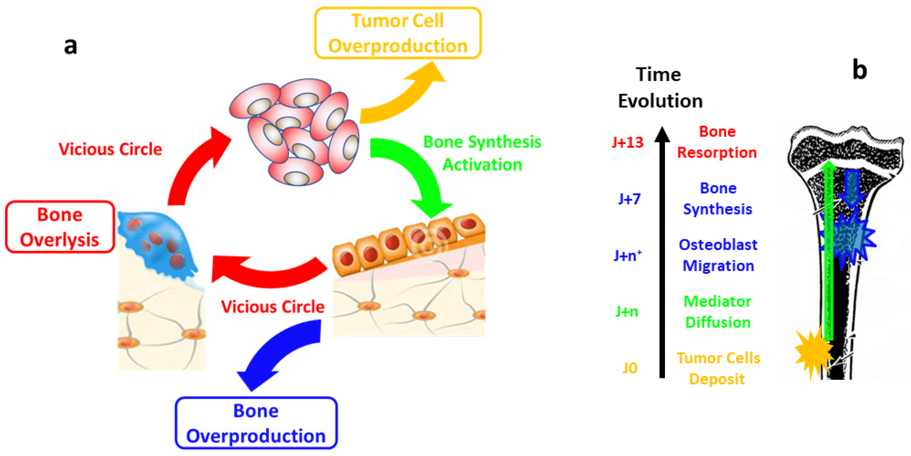 Nanomaterials 15 00374 g017