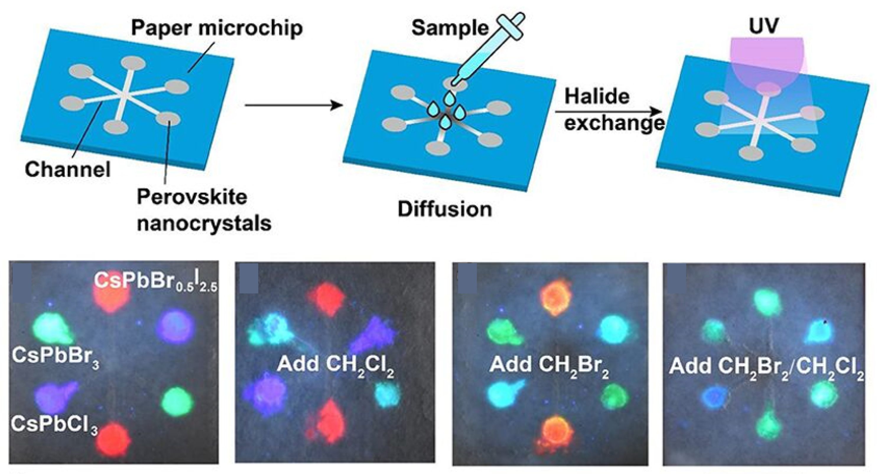 Nanomaterials 15 00375 g008