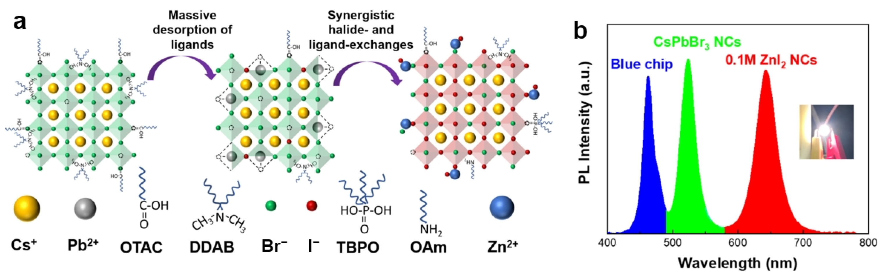 Nanomaterials 15 00375 g009