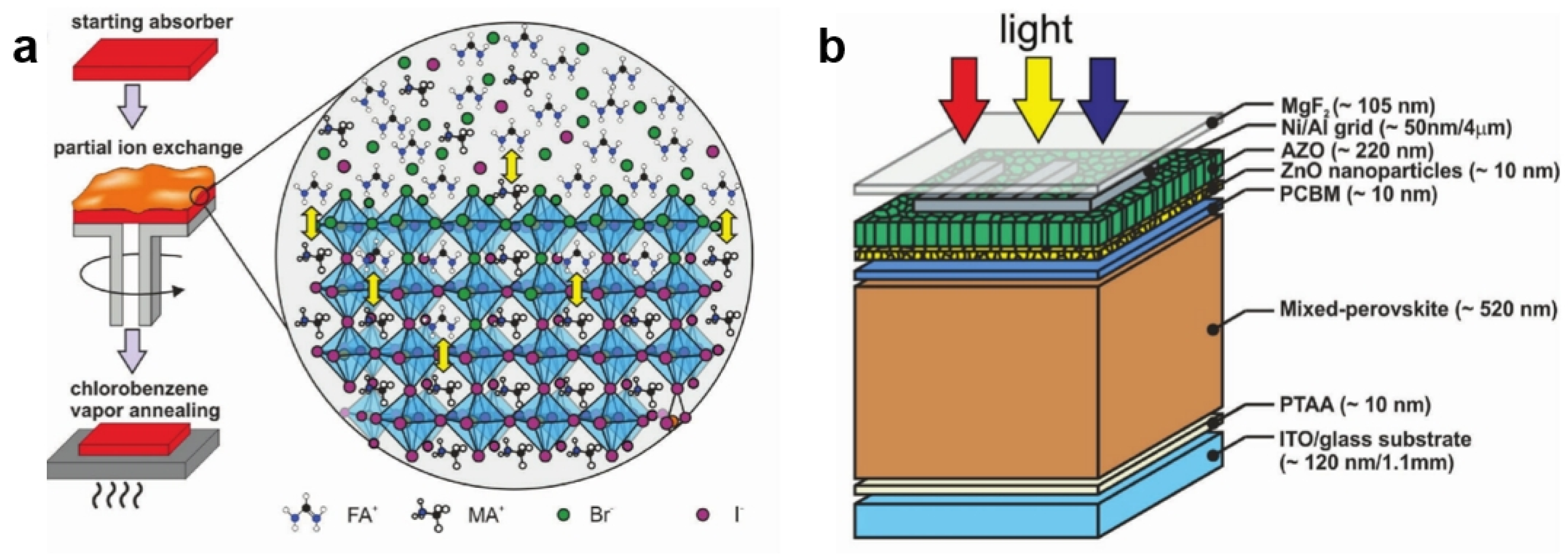 Nanomaterials 15 00375 g011