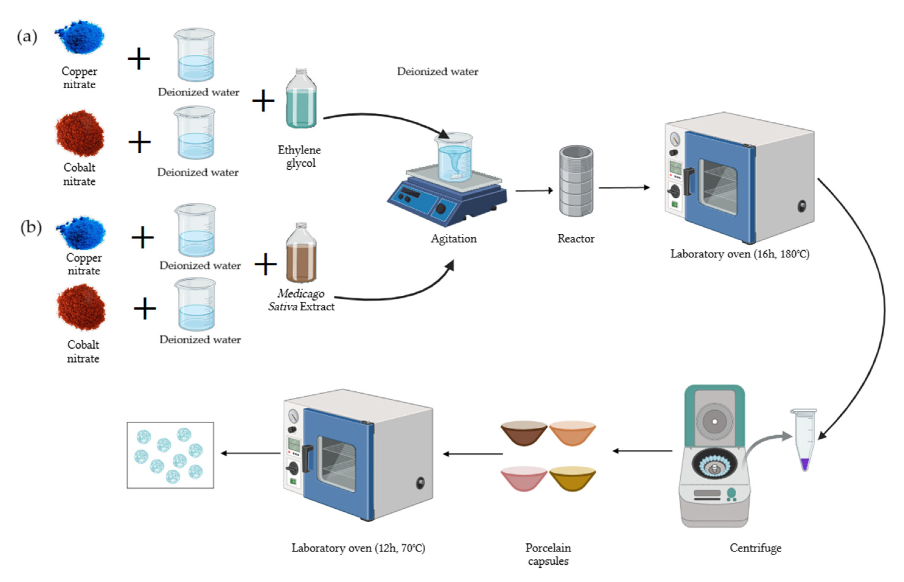 Nanomaterials 15 00379 g001