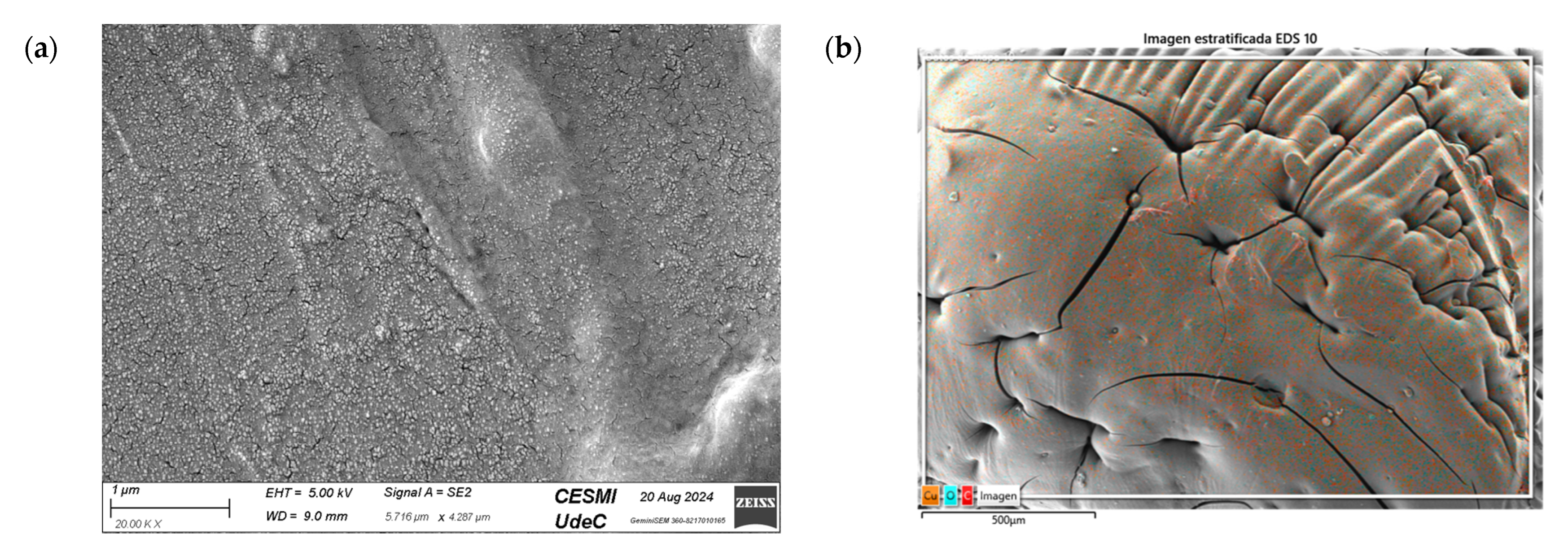 Nanomaterials 15 00379 g012a