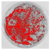 Nanomaterials 15 00379 i010