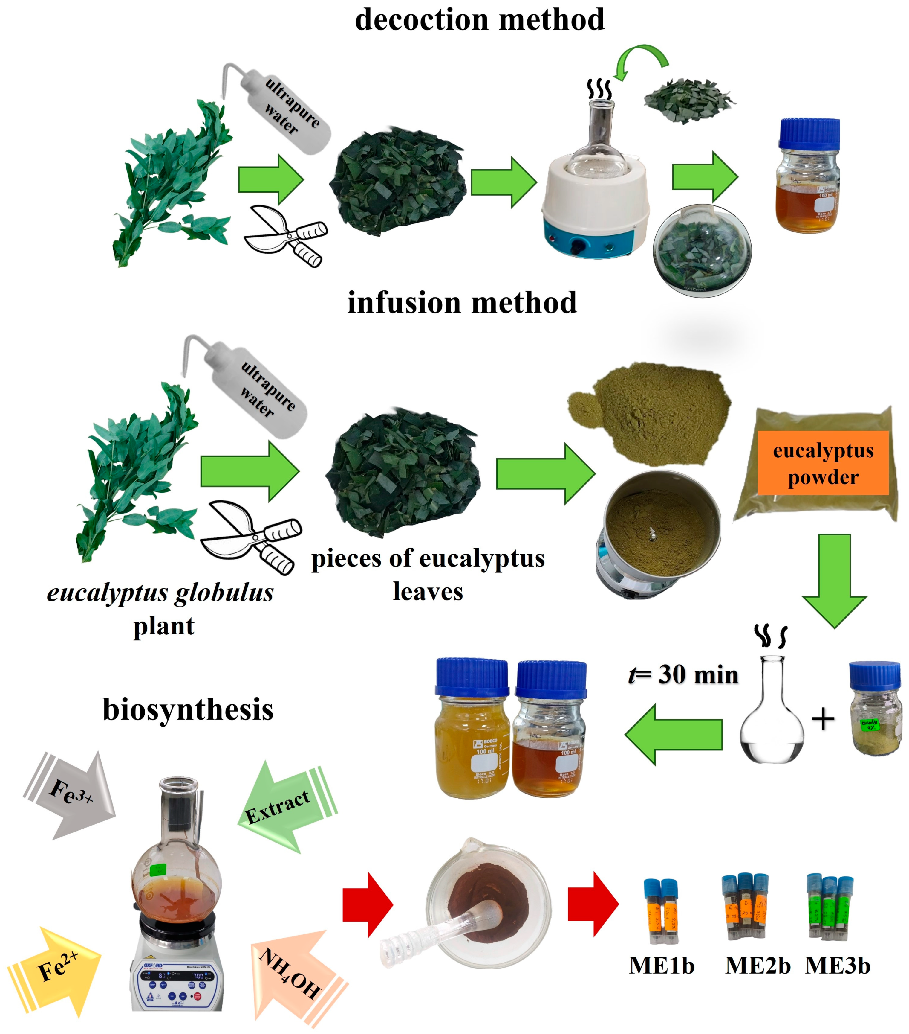 Nanomaterials 15 00382 sch001