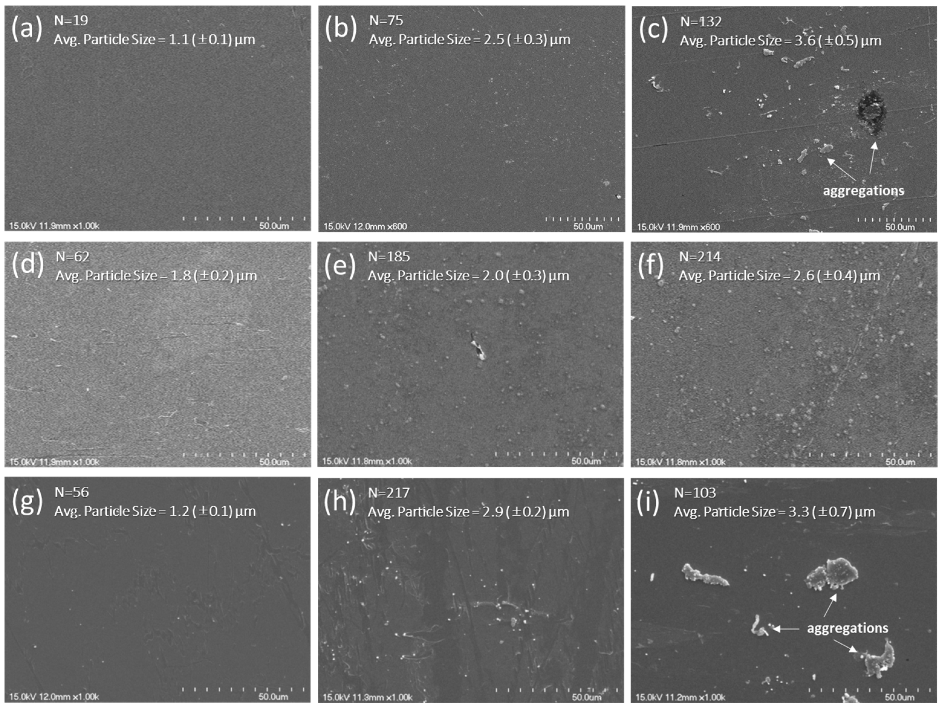 Nanomaterials 15 00403 g002 Nanomaterials 15 00403 g002